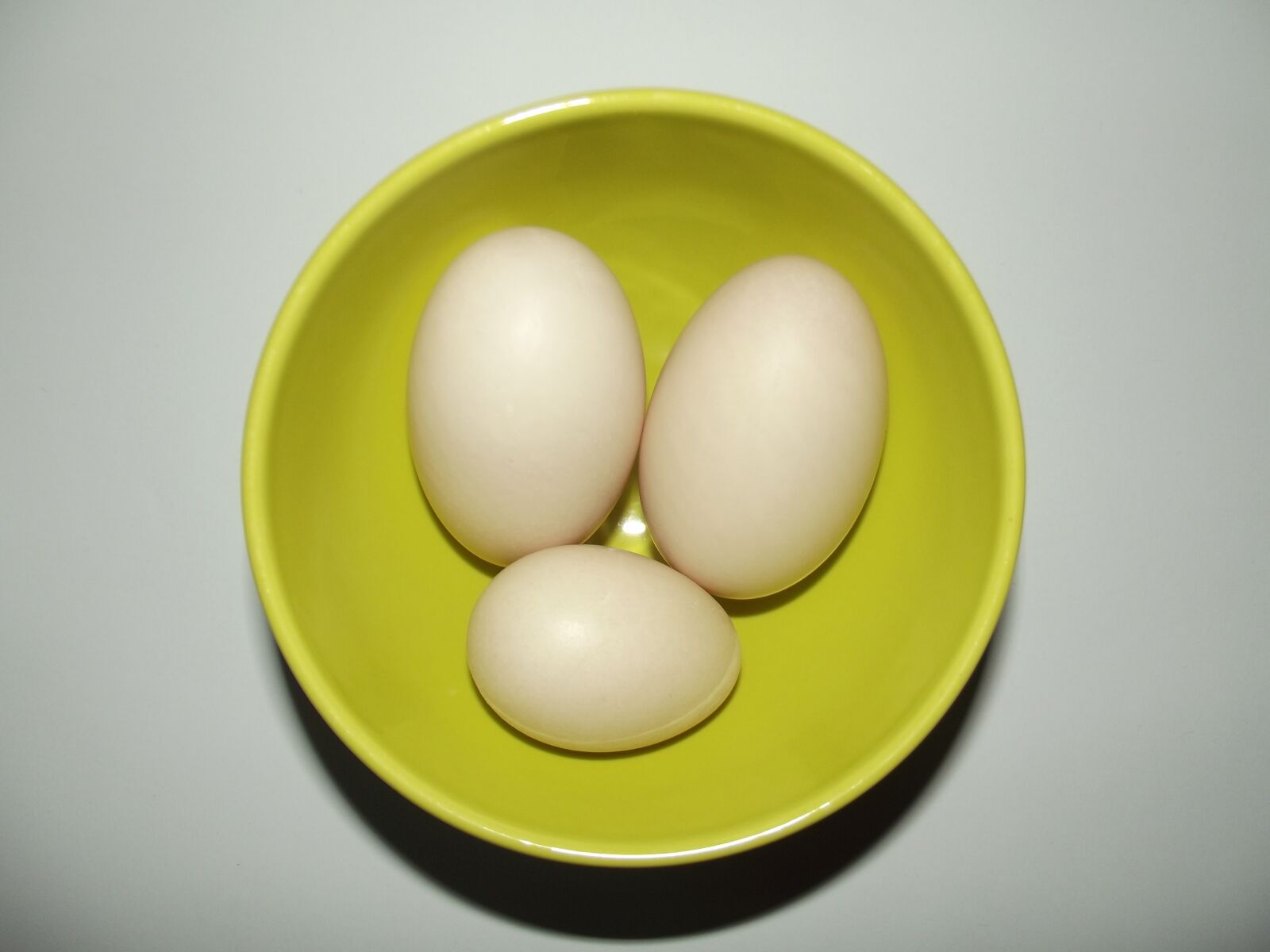 Fujifilm FinePix S2980 sample photo. Egg, duck eggs, large photography