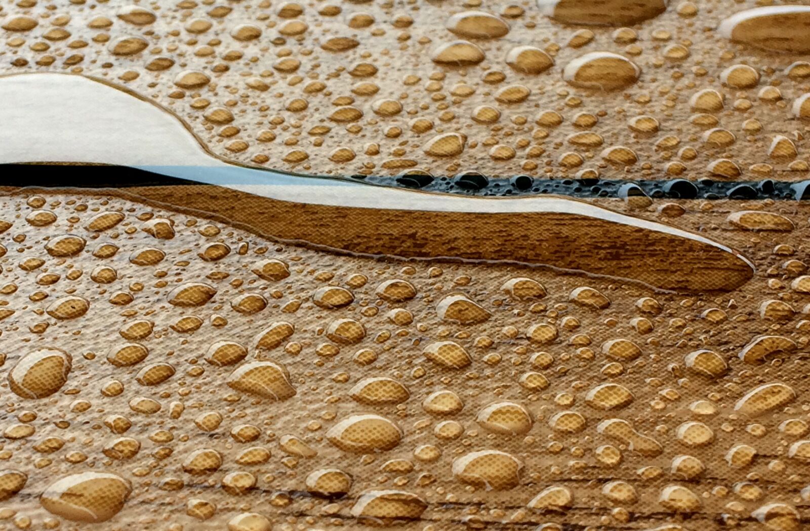 iPhone 5s back camera 4.15mm f/2.2 sample photo. Water, water drop, drop photography
