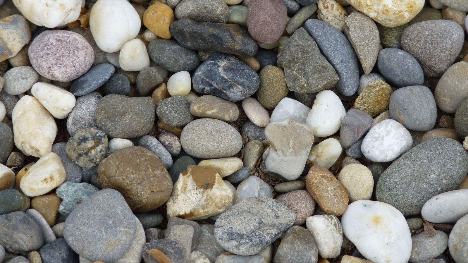 Panasonic Lumix DMC-FZ35 (Lumix DMC-FZ38) sample photo. Stones, pebbles, walk photography