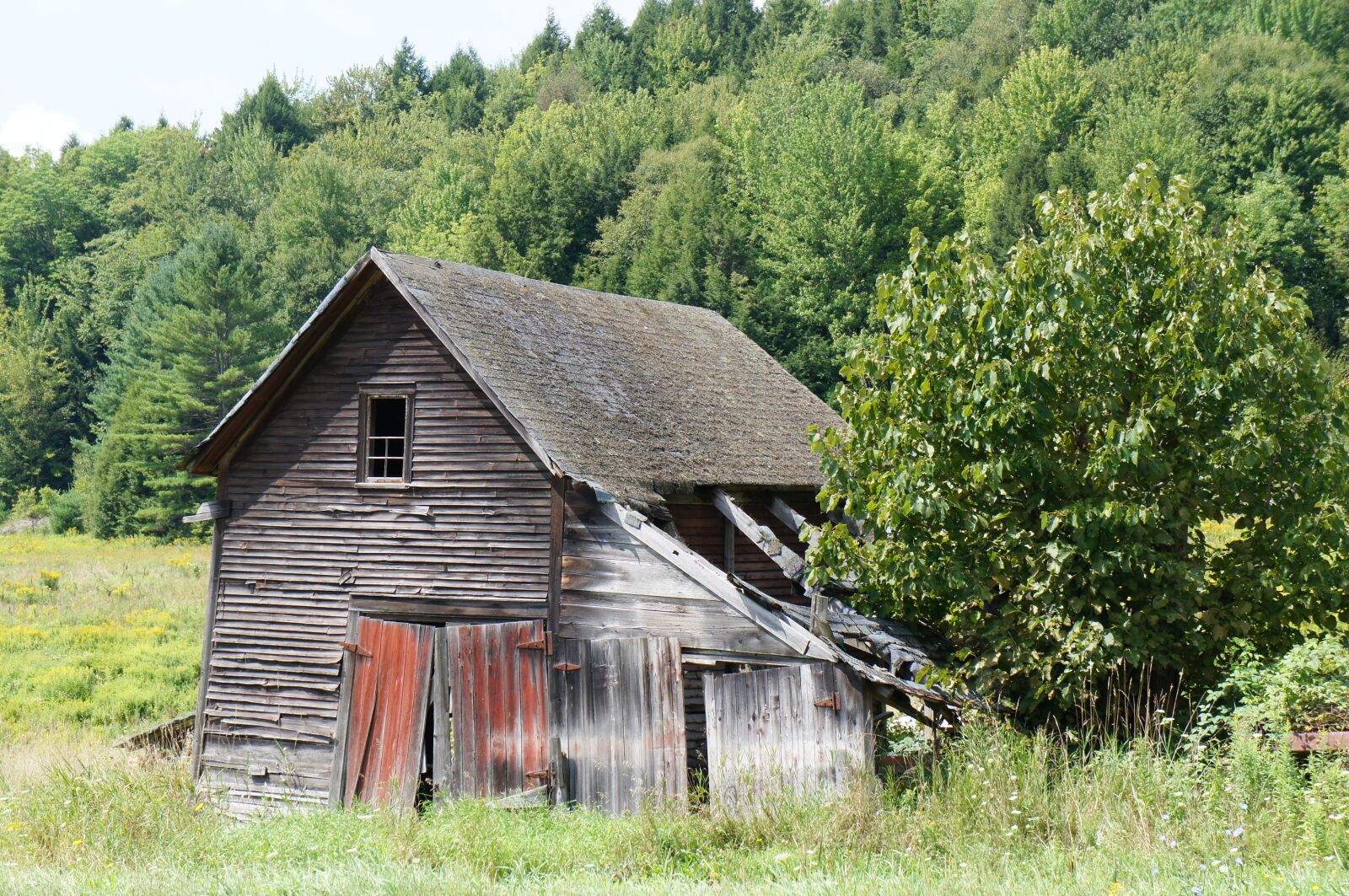 Sony Alpha NEX-C3 + Sony E 18-55mm F3.5-5.6 OSS sample photo. Wood, barn, rustic photography