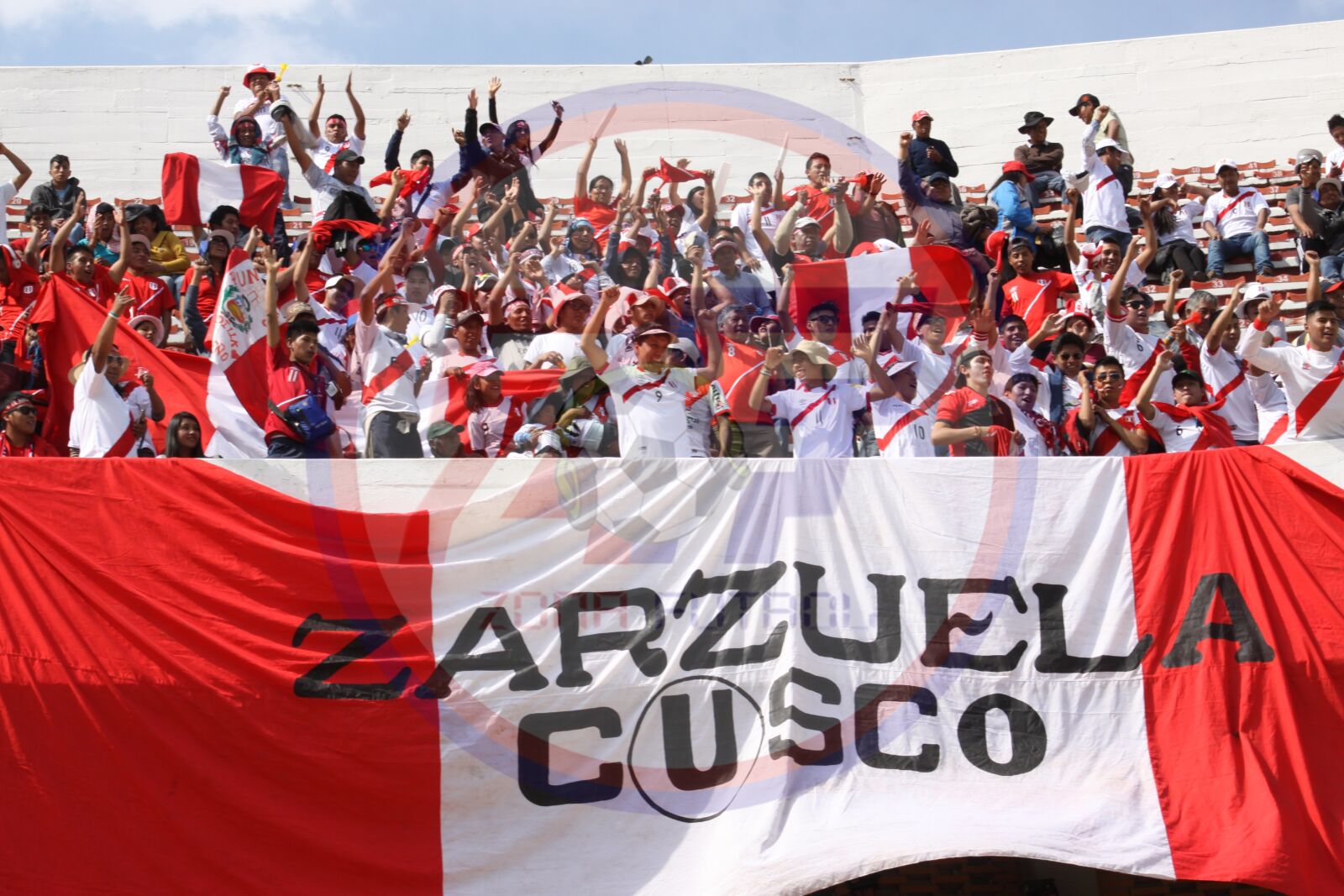 Canon EOS 50D sample photo. Peru, bolivia, peruvian fans photography
