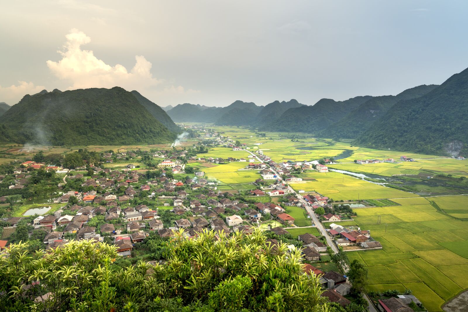 Sony FE 24-70mm F2.8 GM sample photo. Bac son, silk, field photography