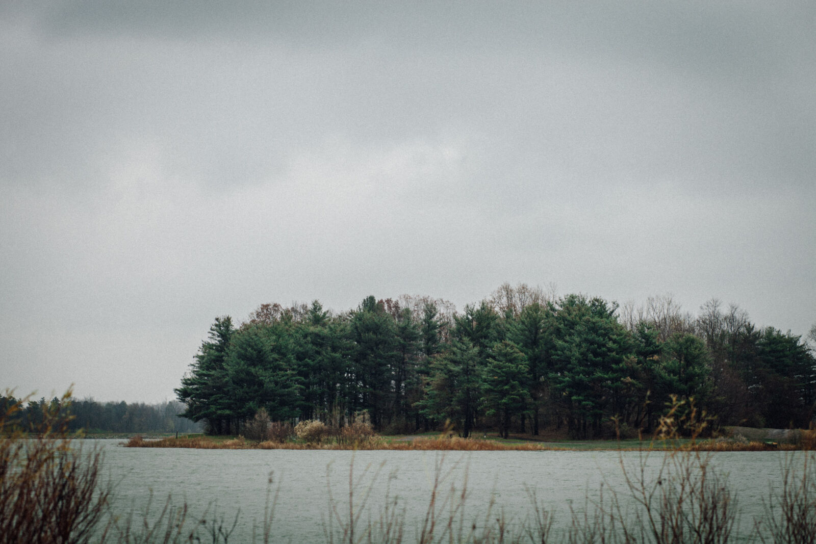 Canon EOS 5D Mark II + Canon EF 85mm F1.8 USM sample photo. Clouds, sky, trees, vsco photography