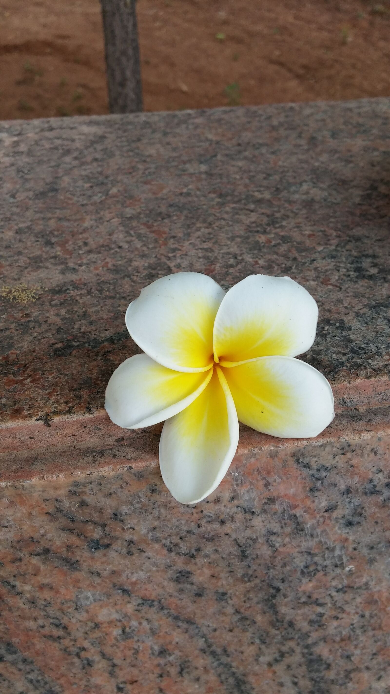 LG D855 sample photo