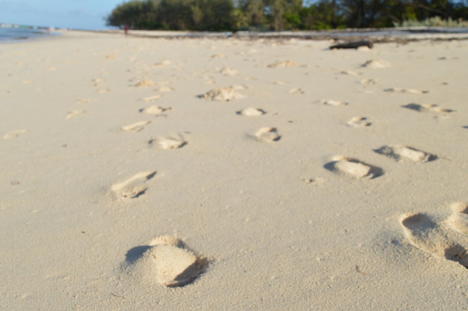 Nikon D3200 sample photo. Footsteps, sand, beach photography