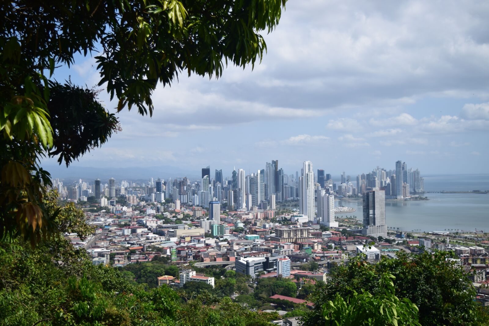 Nikon D3300 sample photo. Panama, city, buildings photography