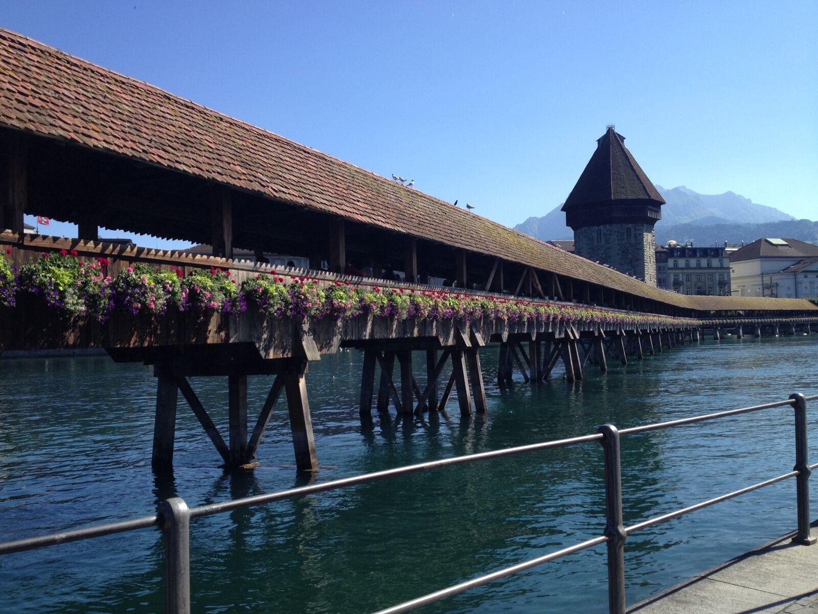 iPhone 4S back camera 4.28mm f/2.4 sample photo. Switzerland, lucerne, lake photography