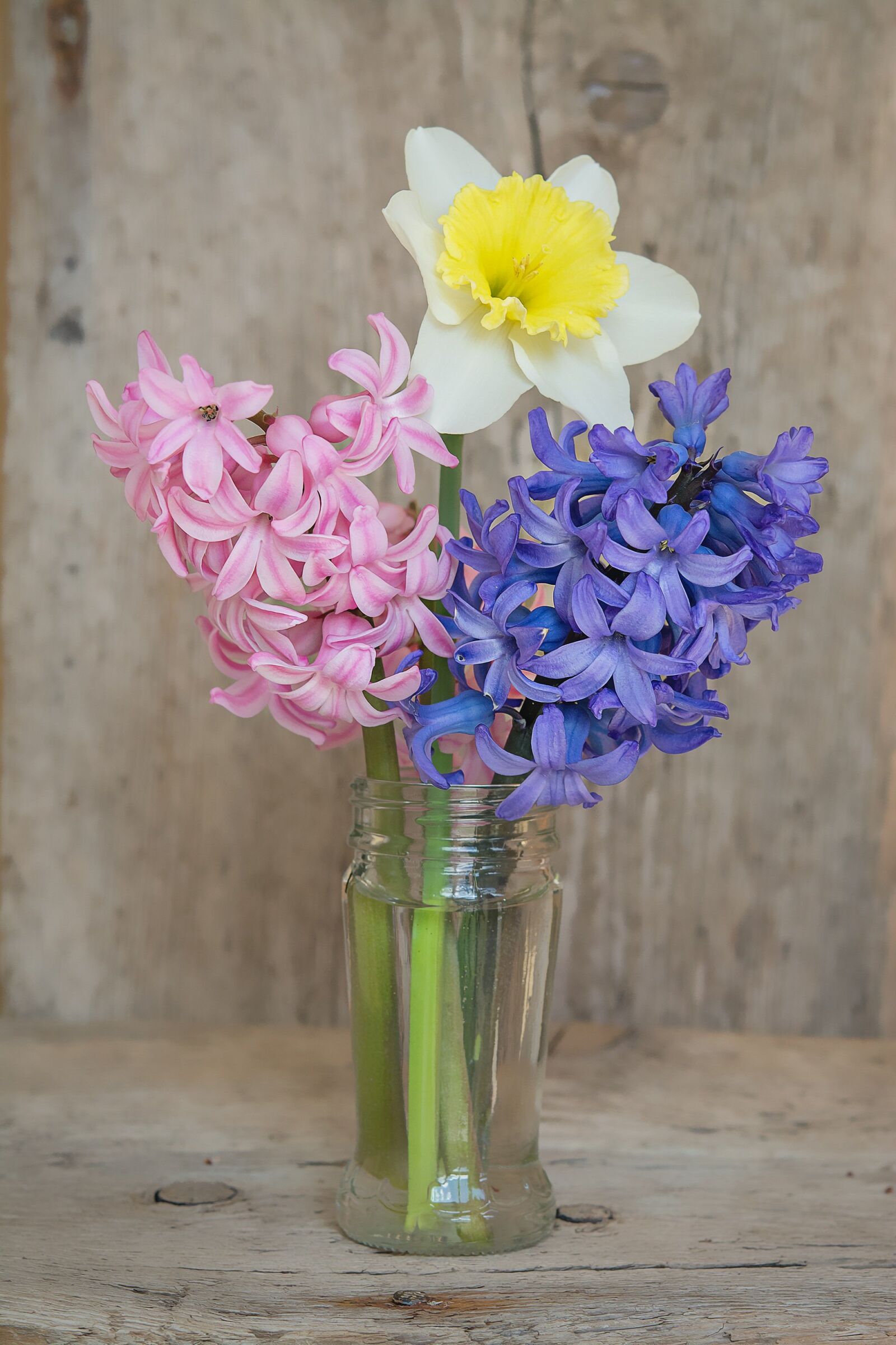 Nikon D7100 sample photo. Flowers, bouquet, vase photography