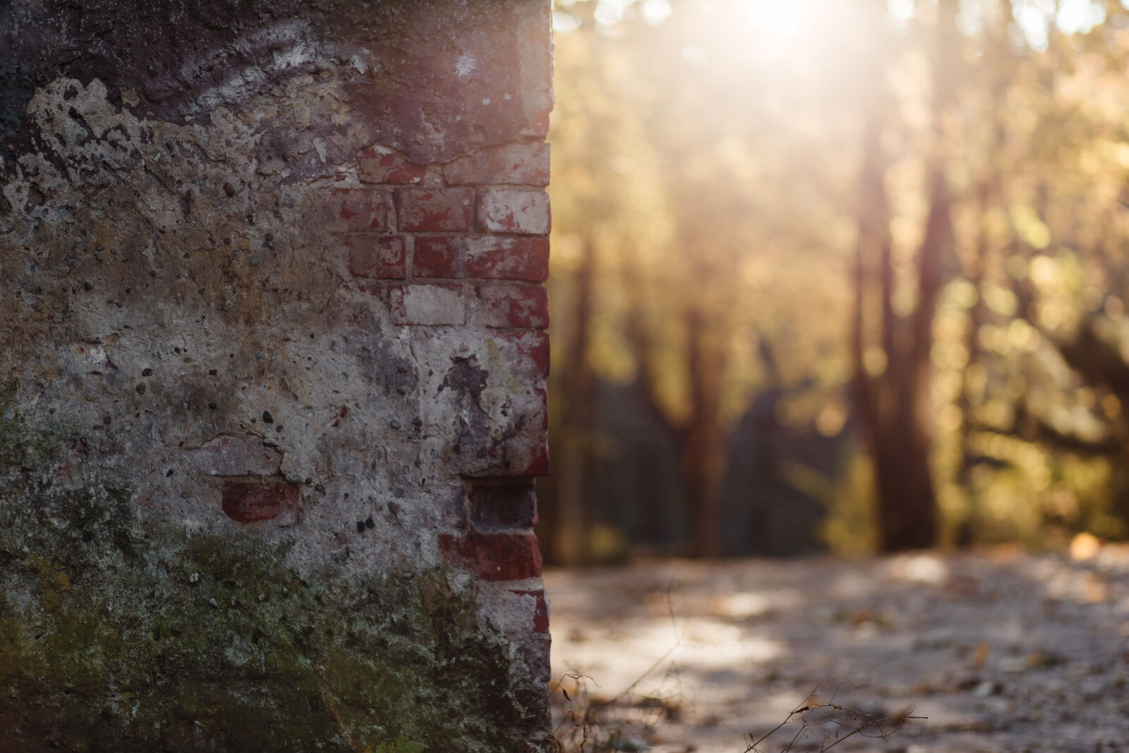 Canon EF 85mm F1.8 USM sample photo. Shallow, focus, photography, of photography