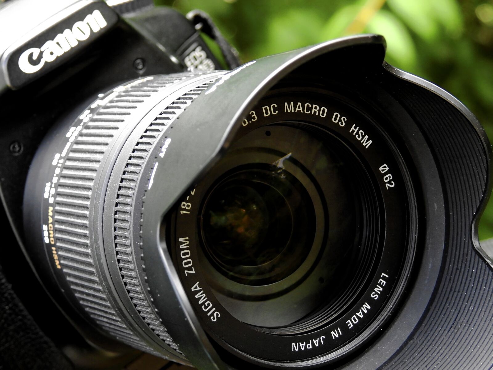 Nikon Coolpix P900 sample photo. Camera, digital camera, photograph photography