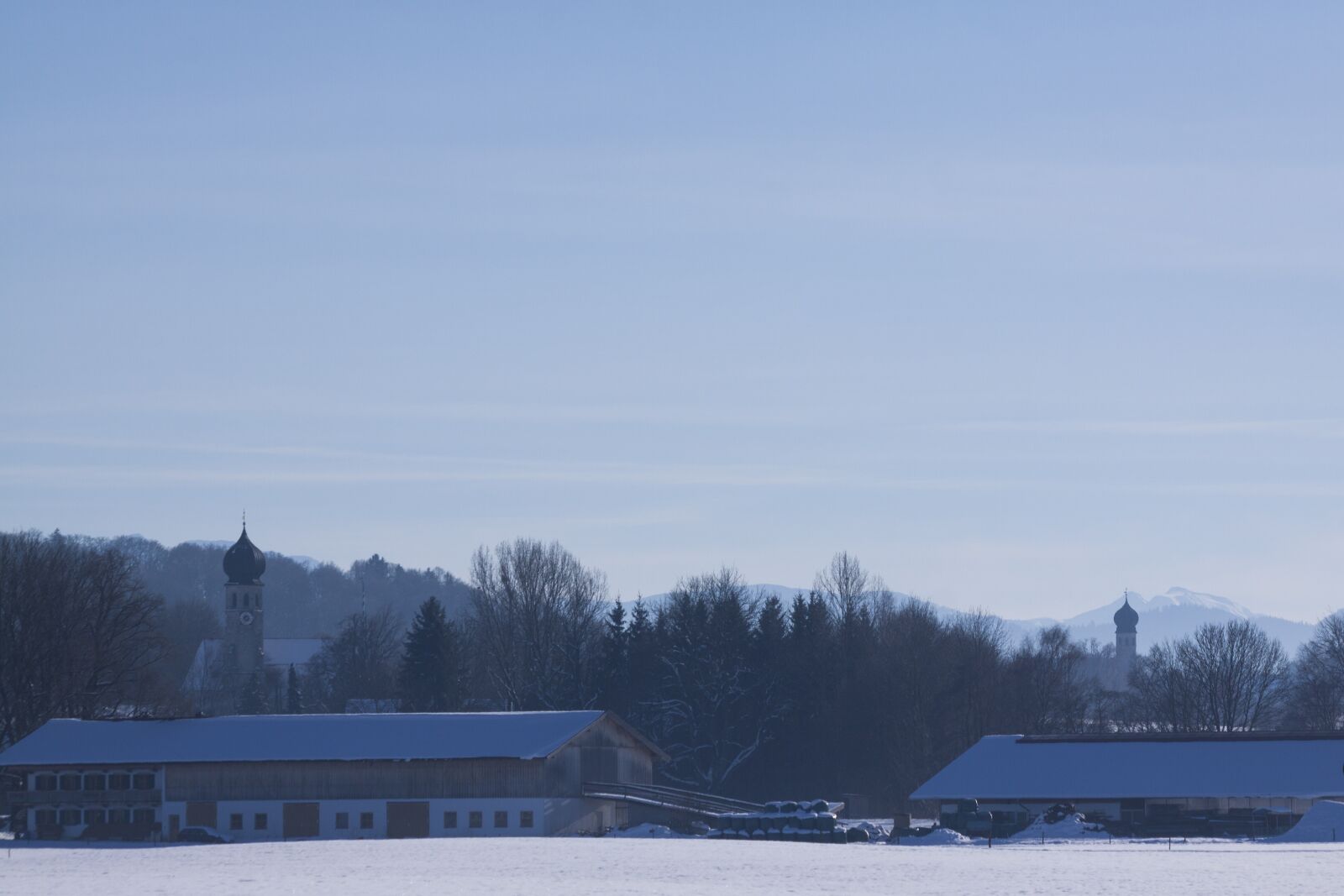 Canon EOS 50D sample photo. Winter, snow, trees photography