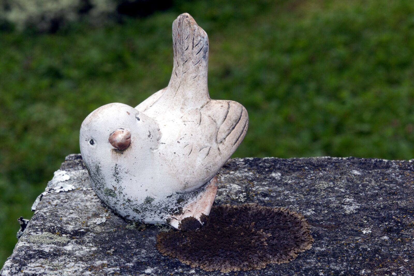 Sony Alpha DSLR-A700 sample photo. Bird, harmony, cemetery photography