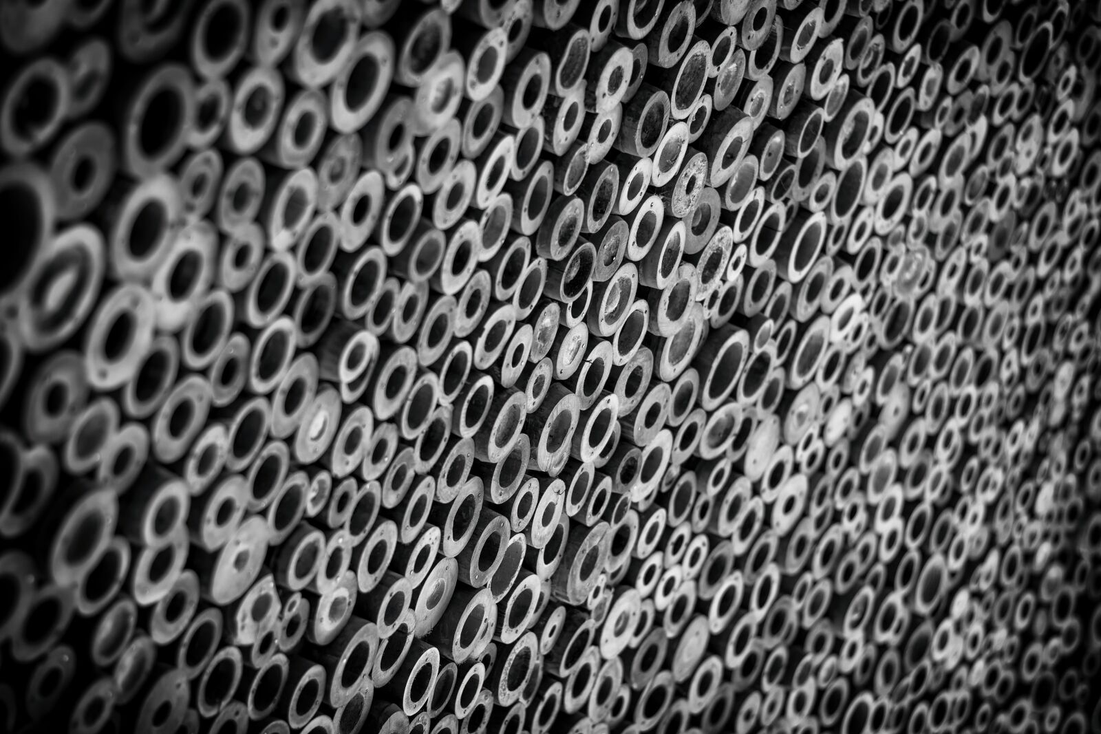 Nikon D5200 sample photo. Abstract, art, background photography