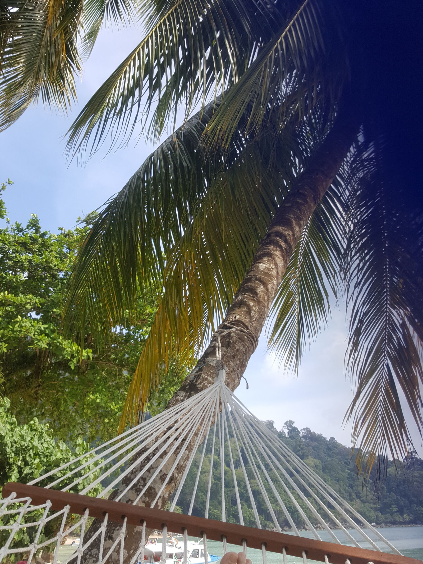 Samsung Galaxy Note5 sample photo. Hammock, relax, tree photography