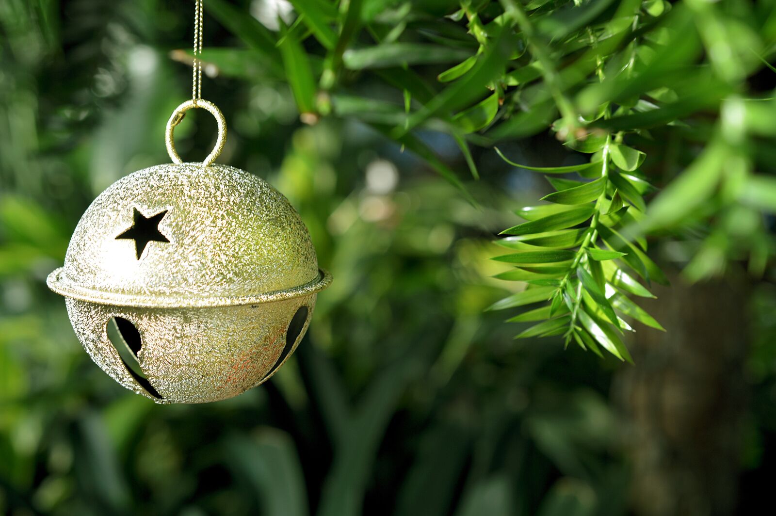 Nikon D3200 sample photo. Ornament, christmas, decoration photography