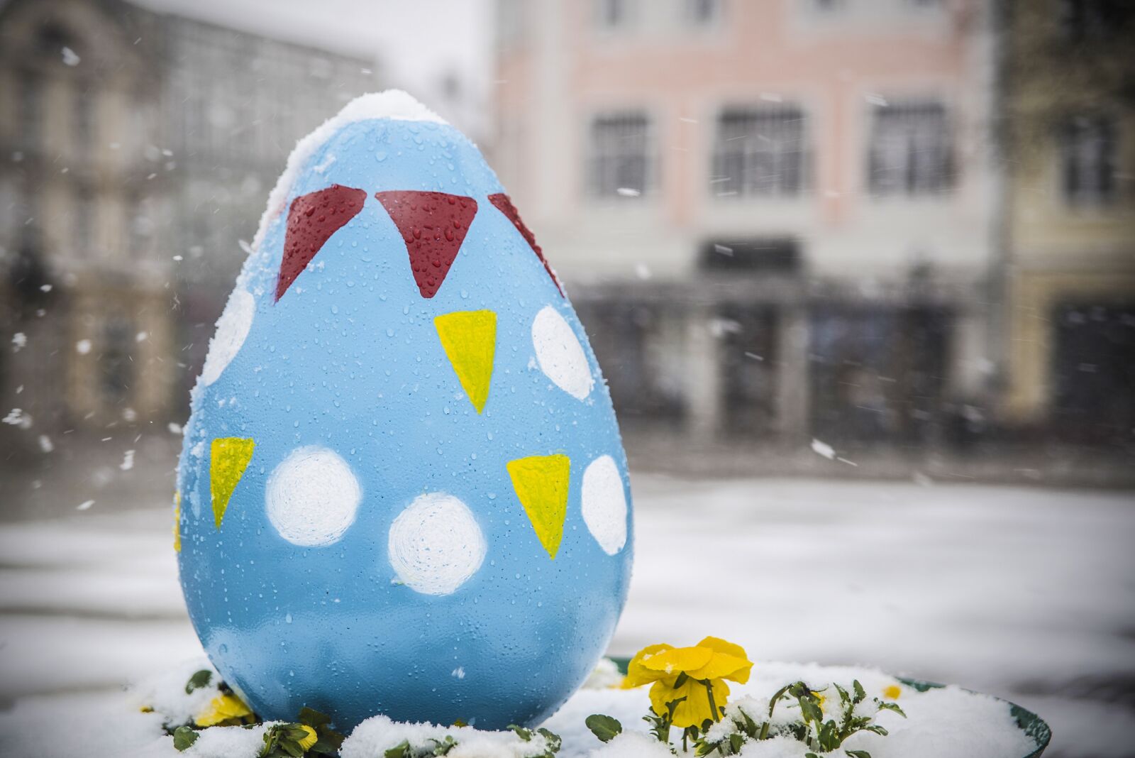 Nikon D810 sample photo. Easter, decoration, spring photography
