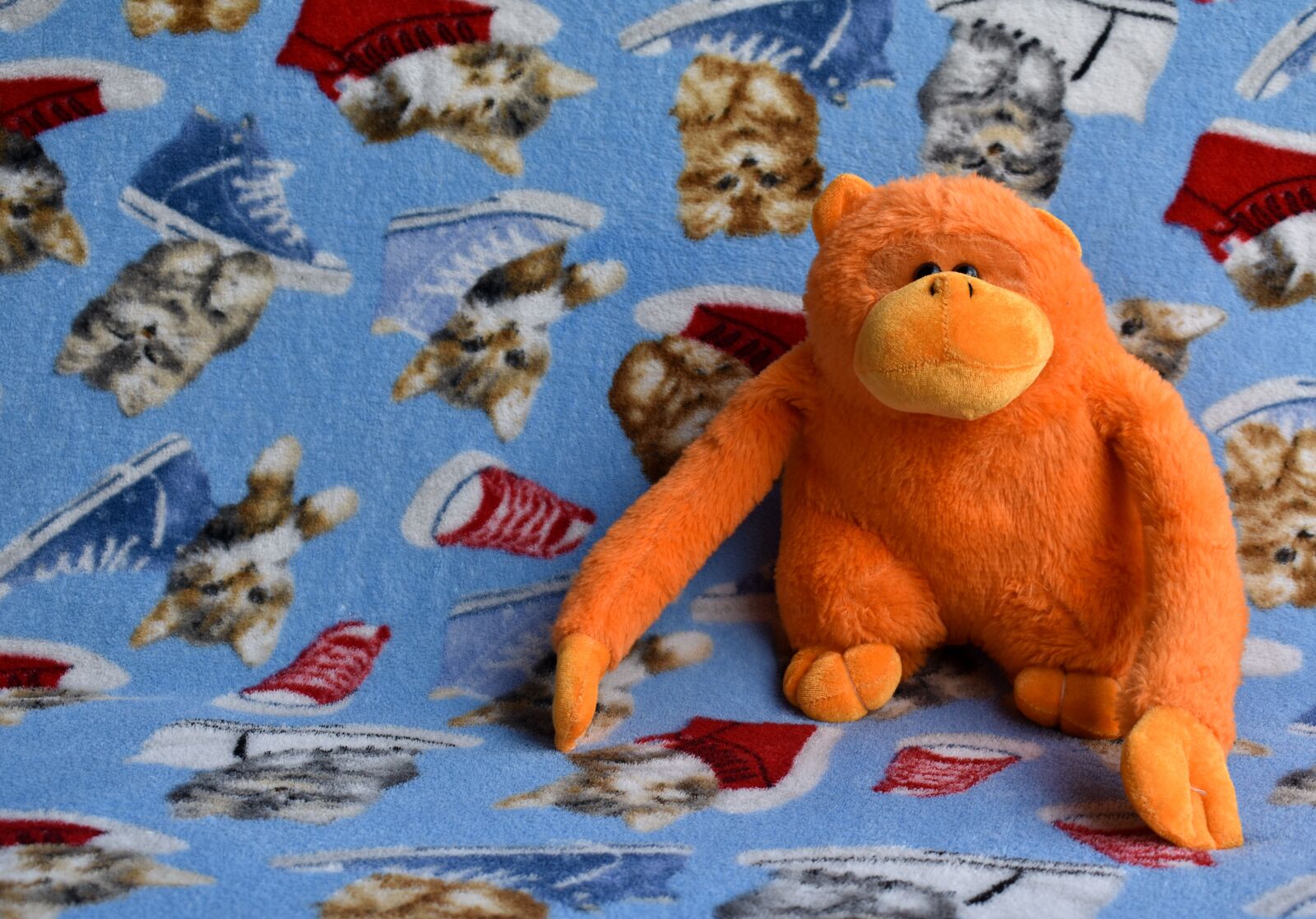 Nikon D3400 sample photo. Toy, children, kids photography
