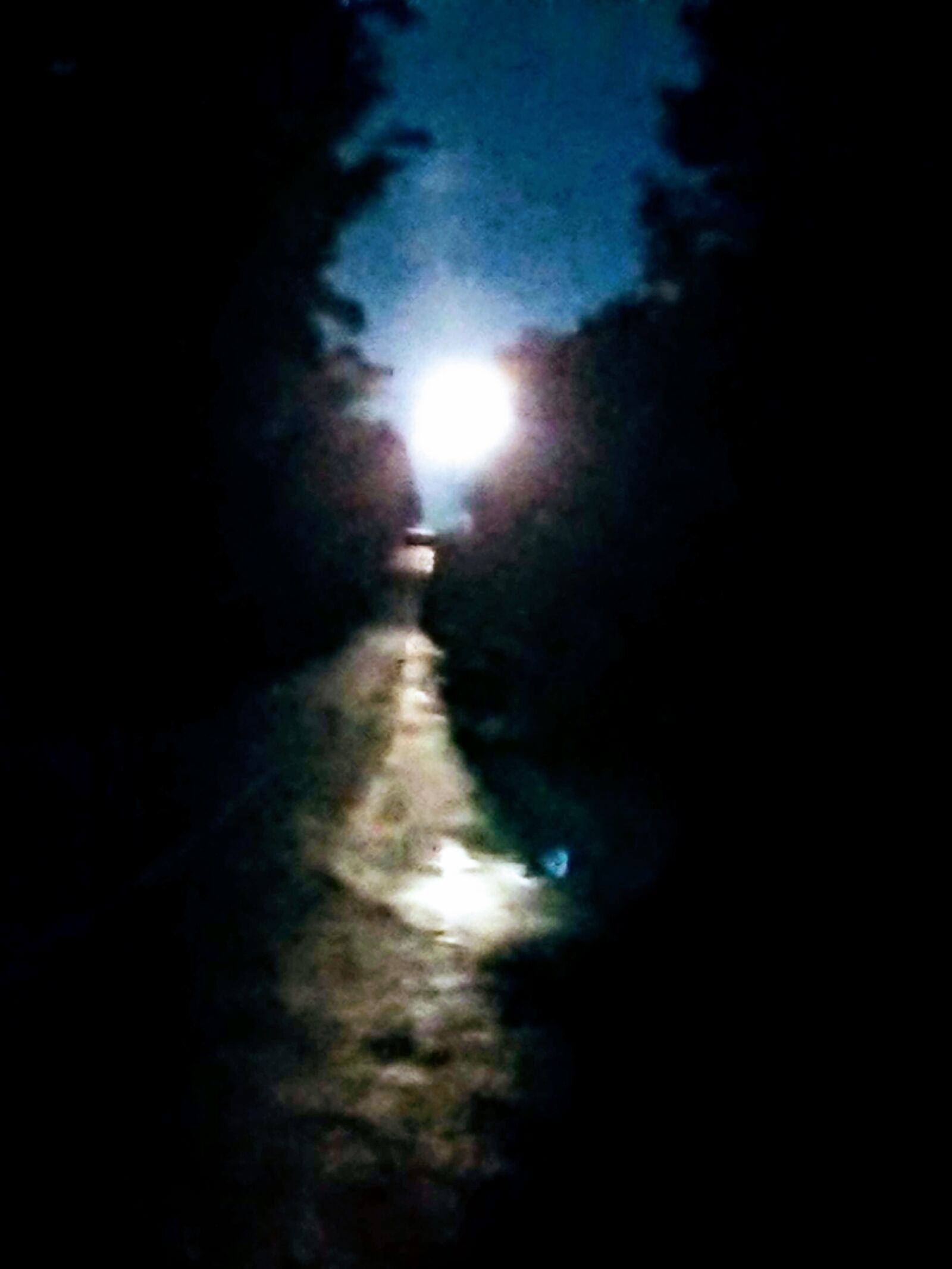 Sony Xperia XZ Premium sample photo. Moonlight, road, night photography
