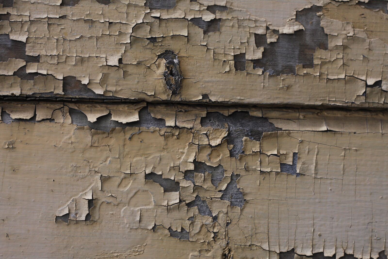 Canon EOS 40D sample photo. Peeling paint, paint, old photography