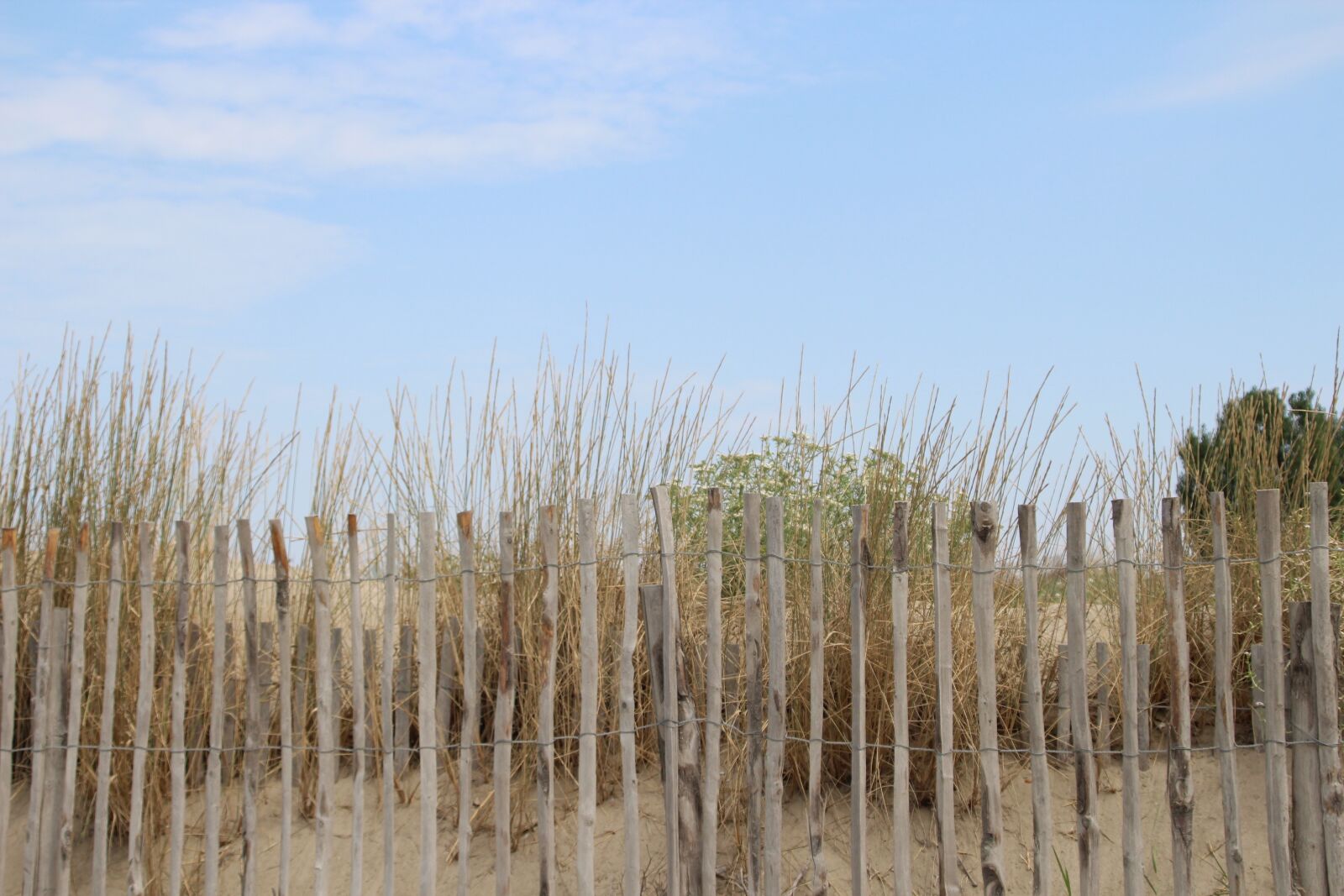 Canon TS-E 90mm F2.8 Tilt-Shift sample photo. Nature, beach, dunes photography