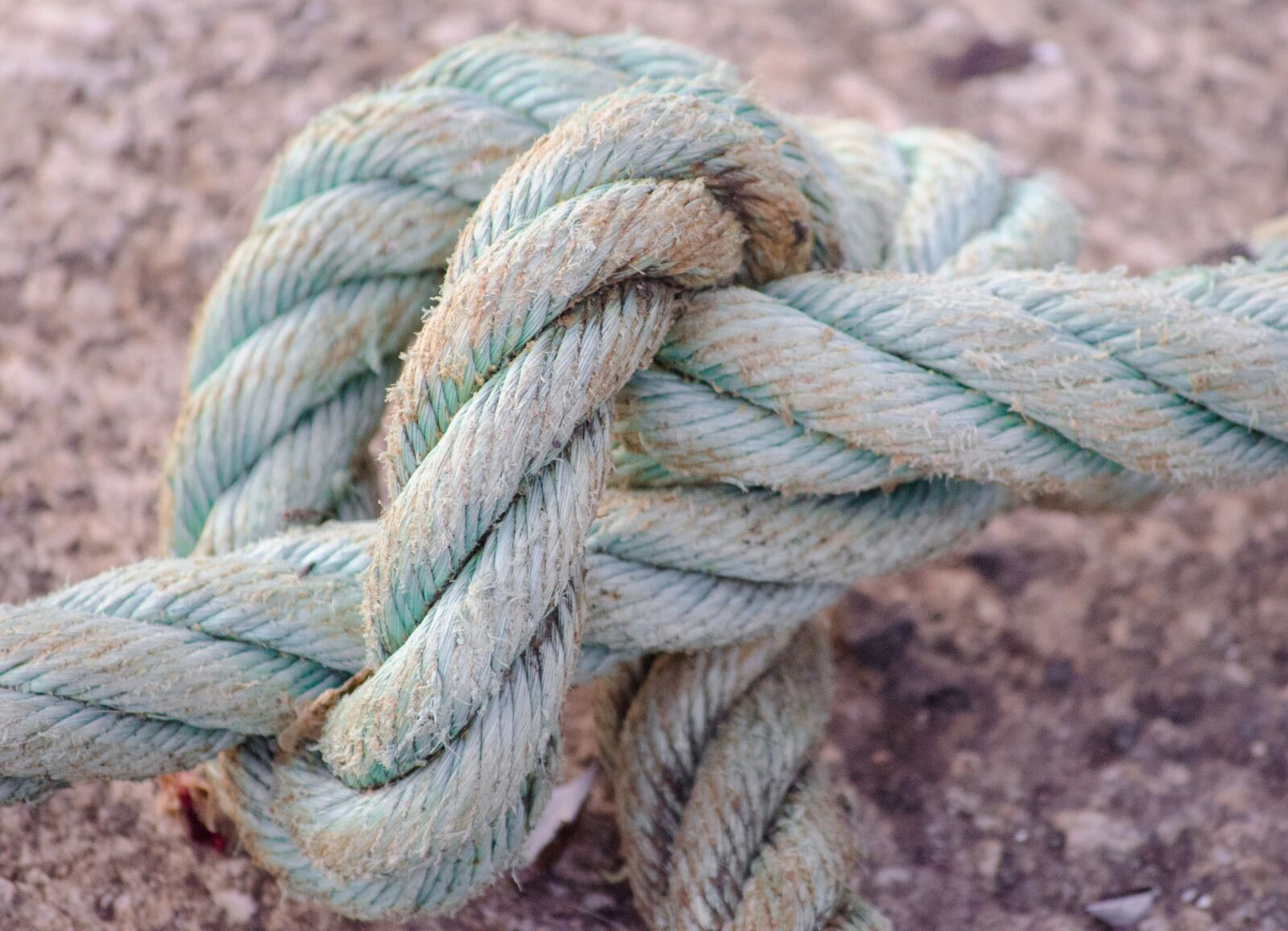 Nikon D5100 sample photo. Knot, rope, safety photography
