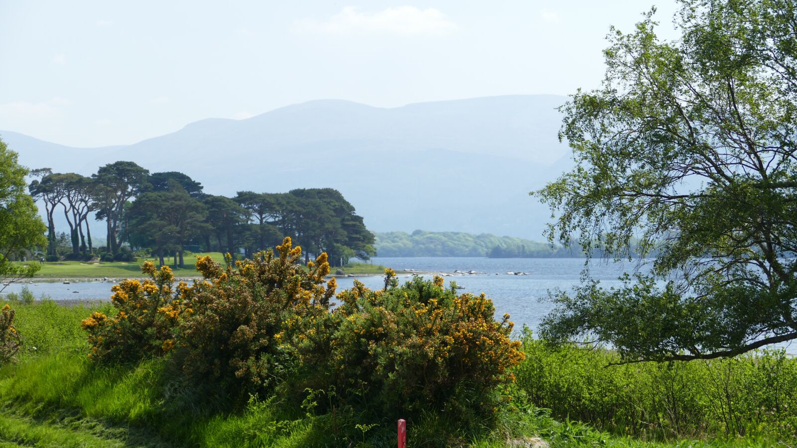 Panasonic Lumix DMC-FZ1000 sample photo. Killarney, ireland, landscape photography