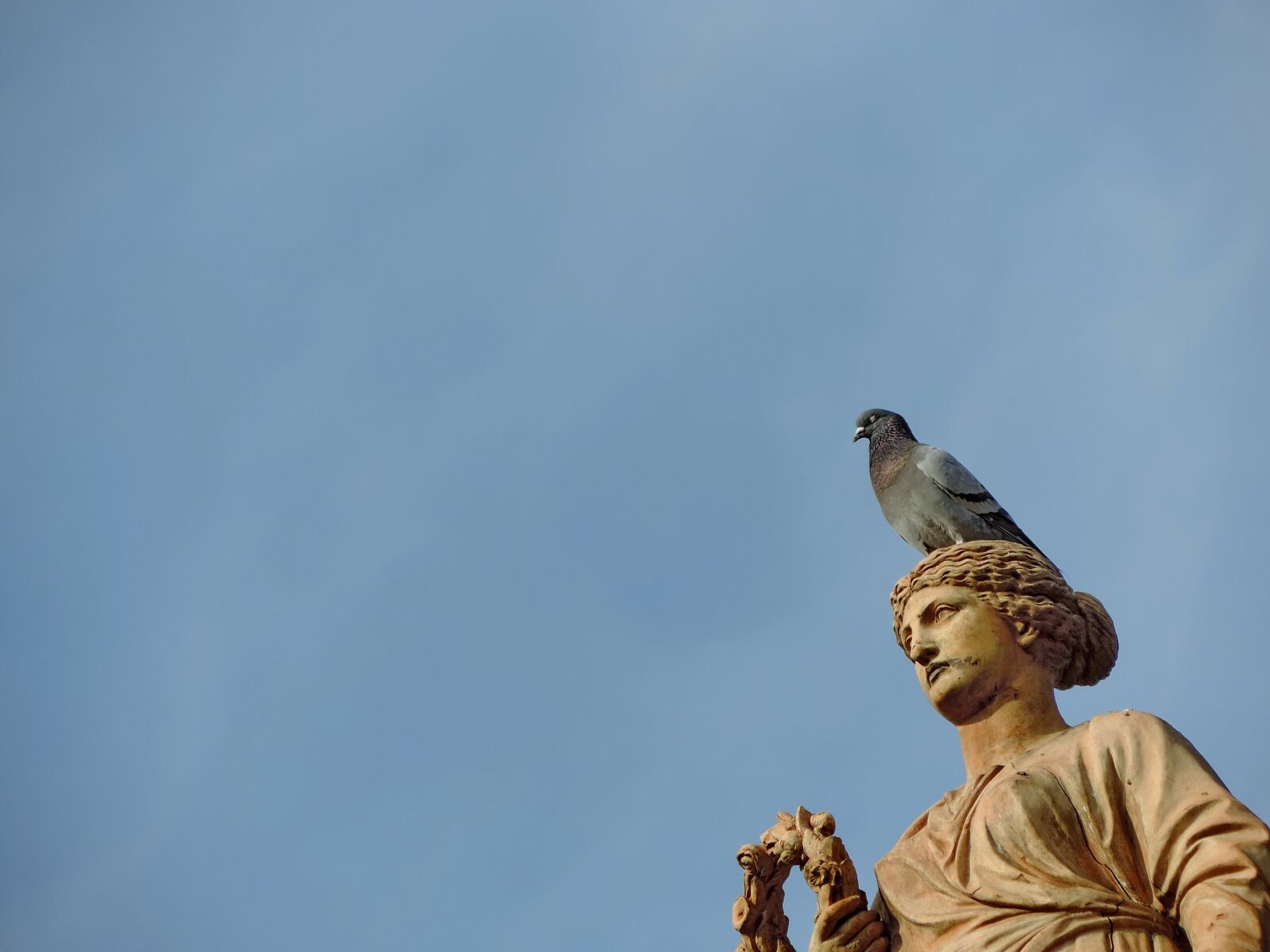 Nikon Coolpix P520 sample photo. Bust, goddess, head, pigeon photography