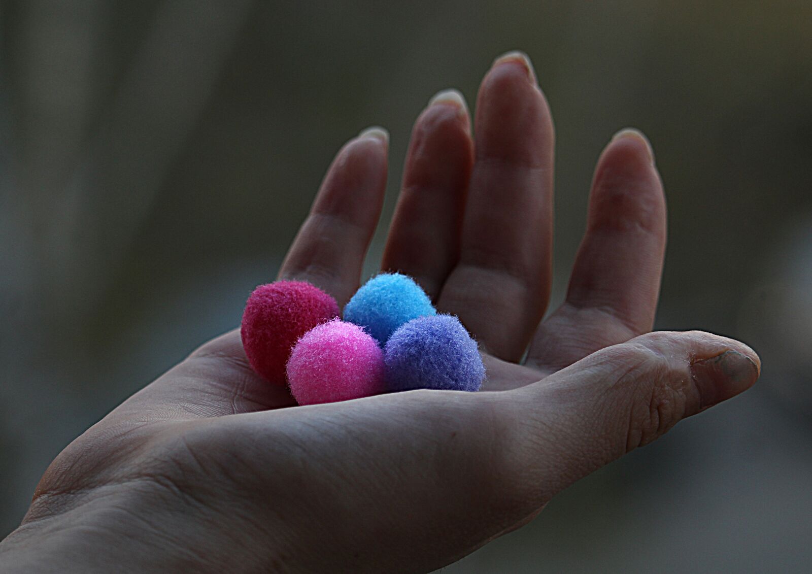 Canon EOS 1200D (EOS Rebel T5 / EOS Kiss X70 / EOS Hi) sample photo. Hand, brush, art photography