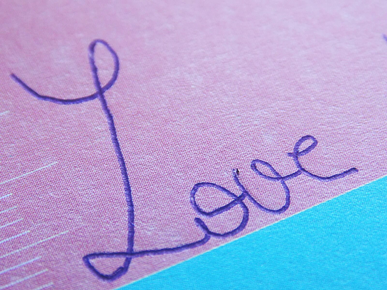 Nikon Coolpix L810 sample photo. Love, word, pink photography
