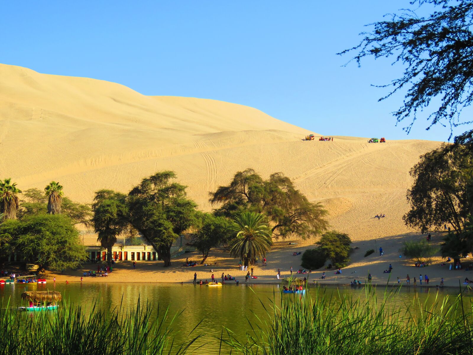 Canon PowerShot SX60 HS sample photo. Oasis, peru, huacachina photography