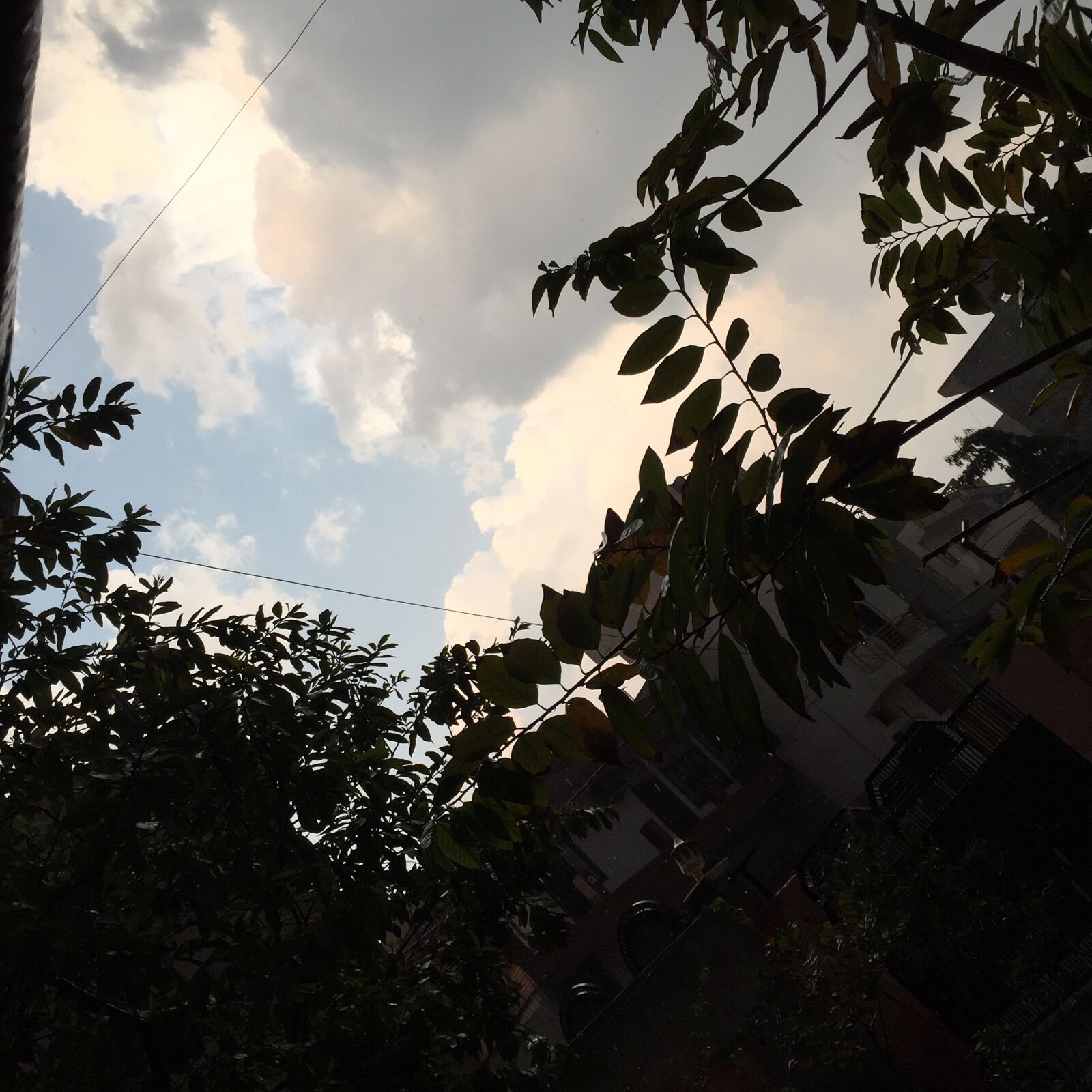 Apple iPhone 6 sample photo