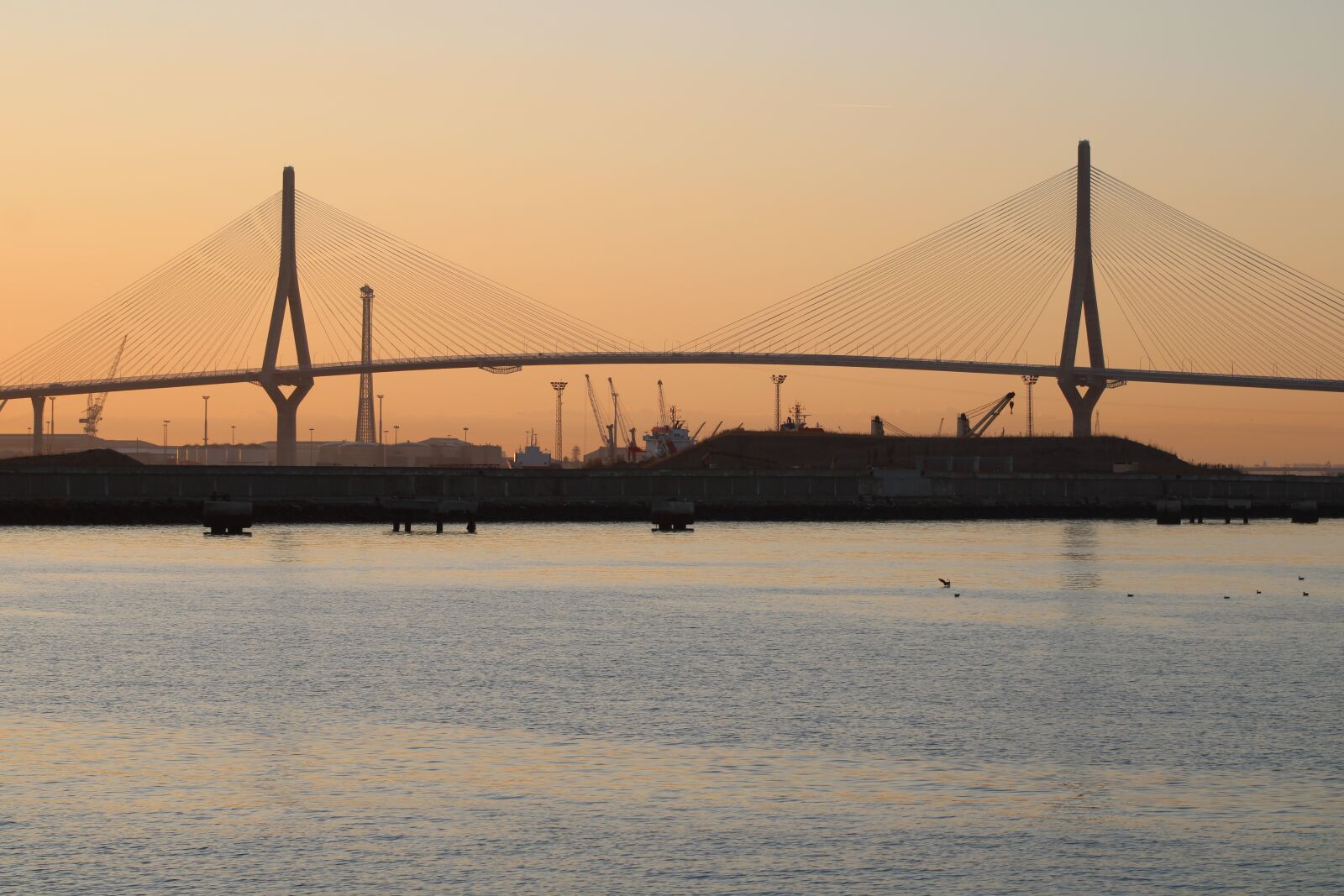 Canon EOS 2000D (EOS Rebel T7 / EOS Kiss X90 / EOS 1500D) sample photo. Bridge of the constitution photography
