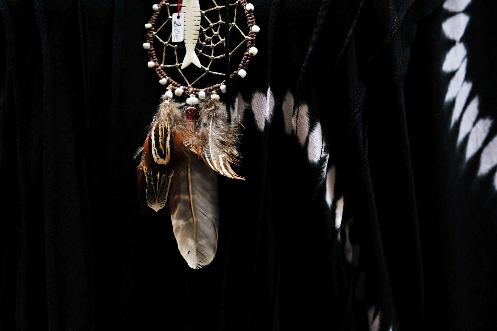 Nikon D700 sample photo. Dreamcatcher, feathers, indians photography