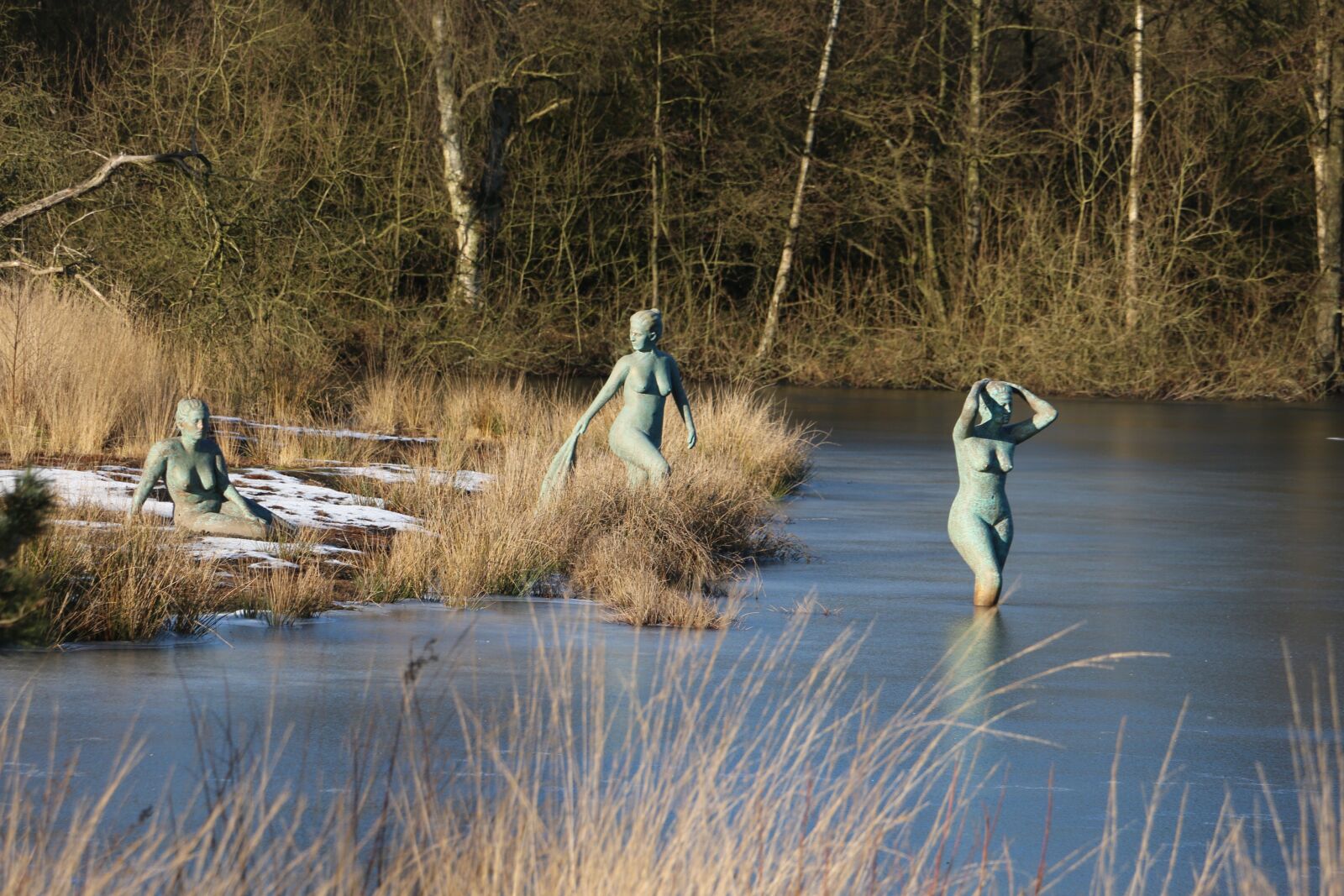 Canon EOS 70D sample photo. Art, esbeek, north brabant photography