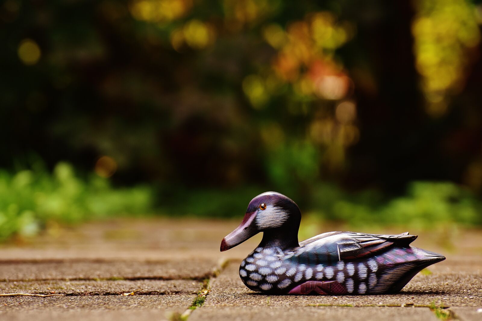 Nikon D7200 sample photo. Duck, deco, figure photography