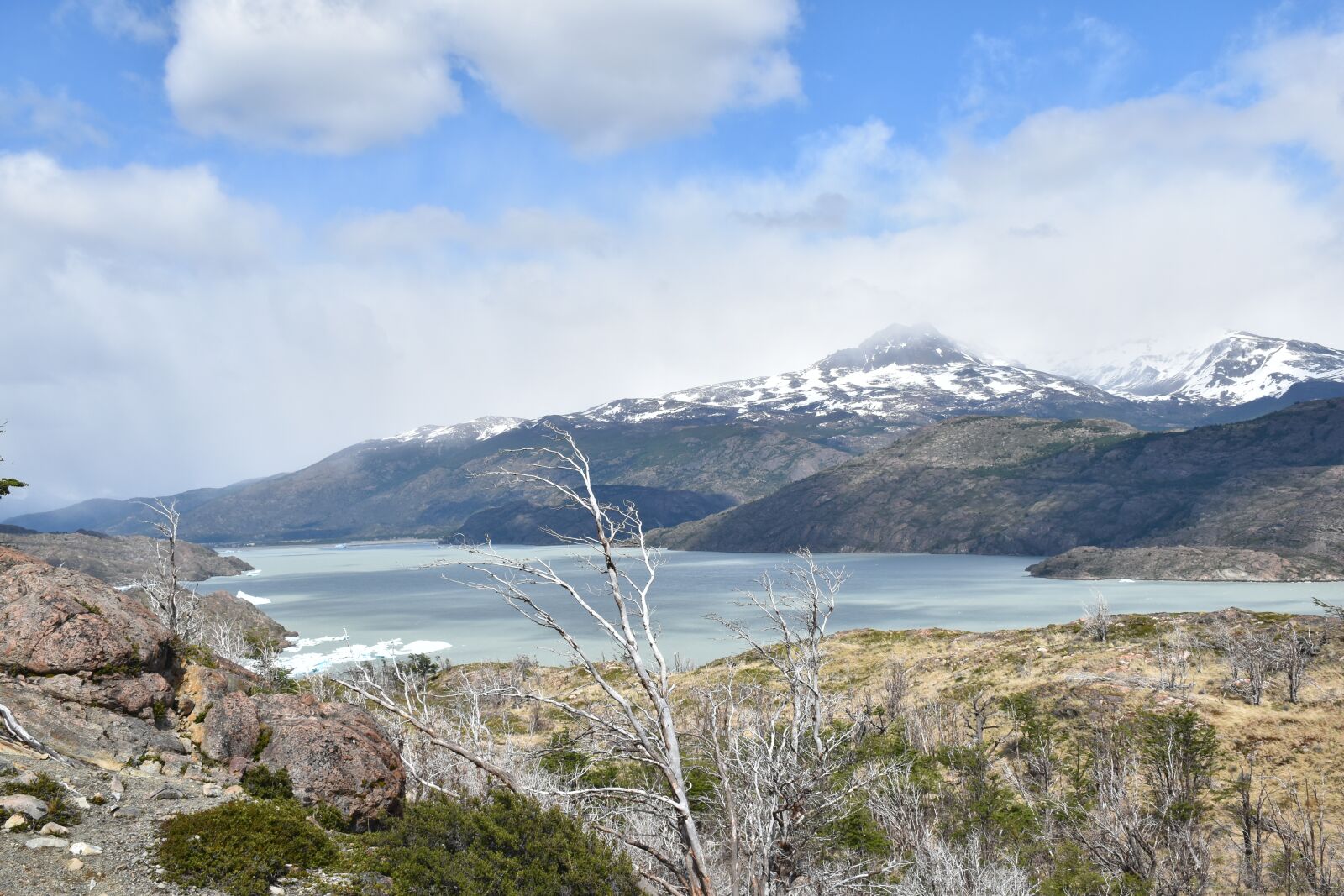 Nikon D5500 sample photo. Patagonia, torres del paine photography