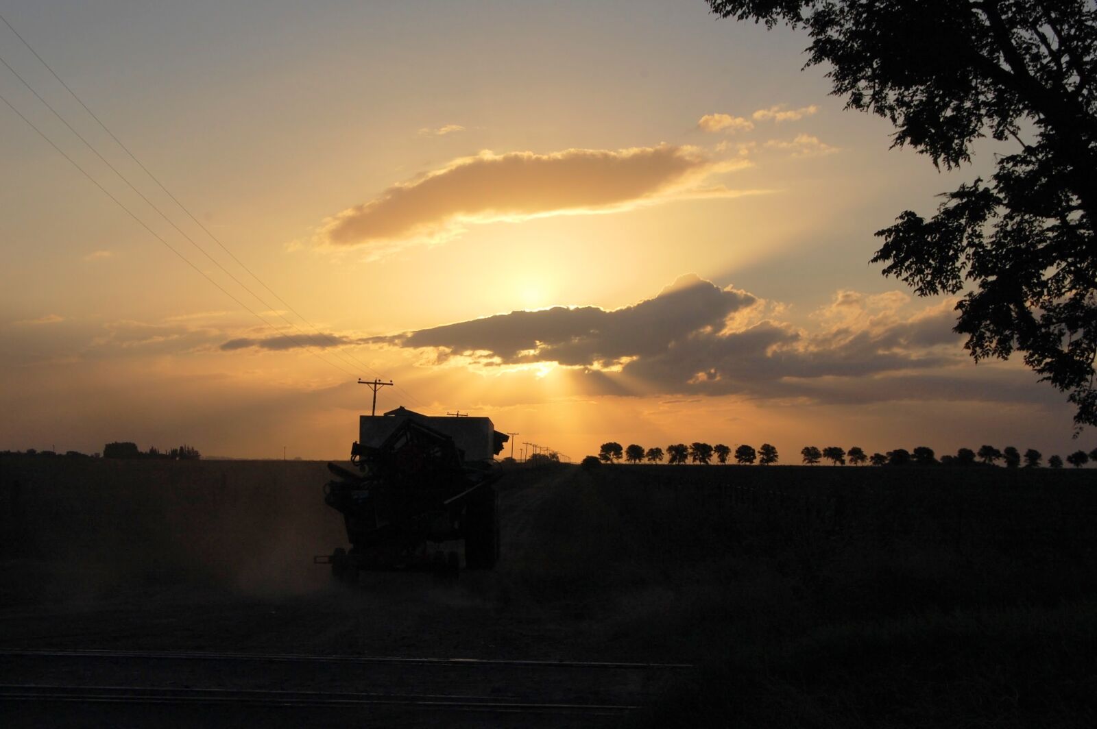 Nikon D40 sample photo. Sunset, field, landscape photography