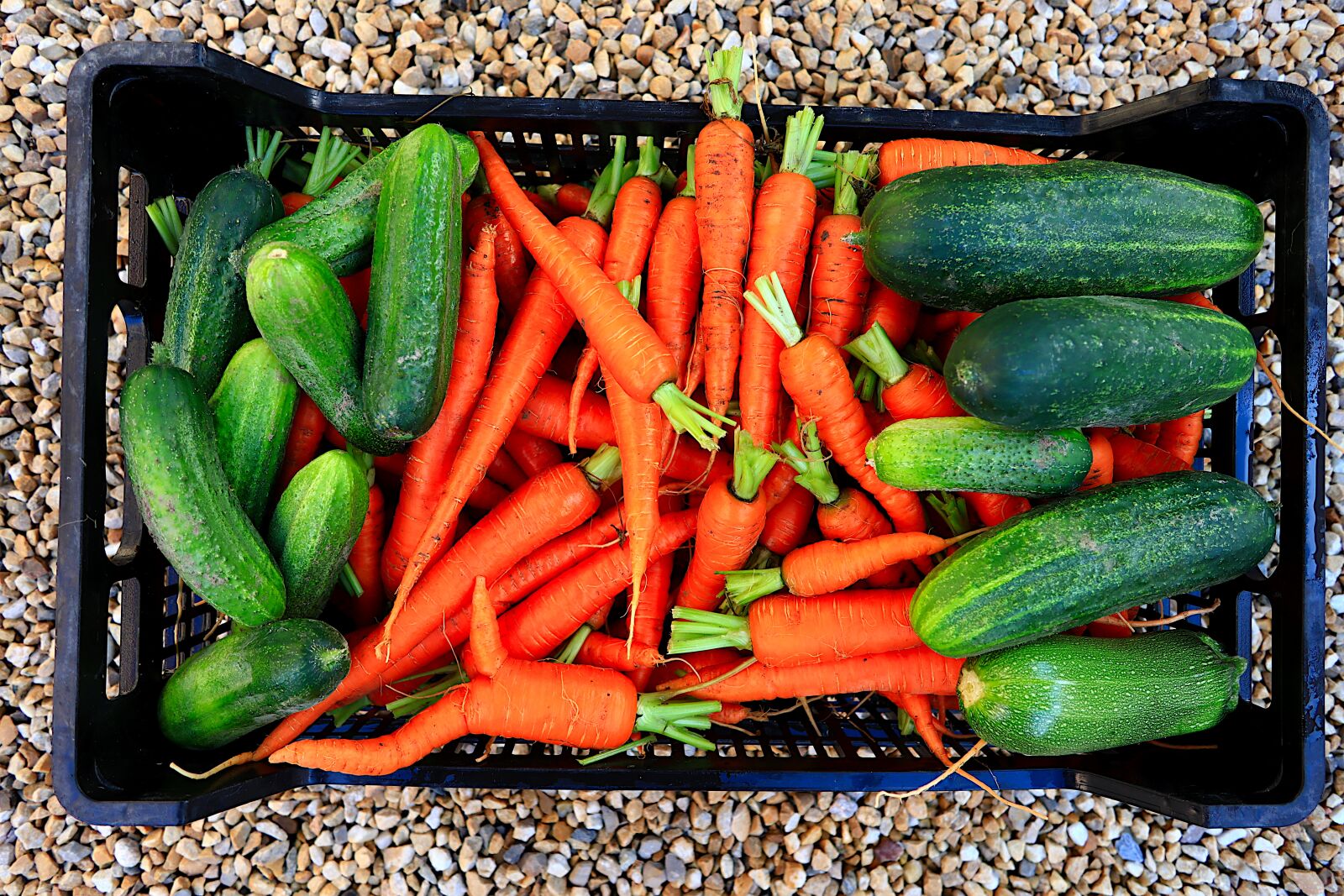 Canon PowerShot G1 X Mark III sample photo. Vegetables, pickles, zucchini photography