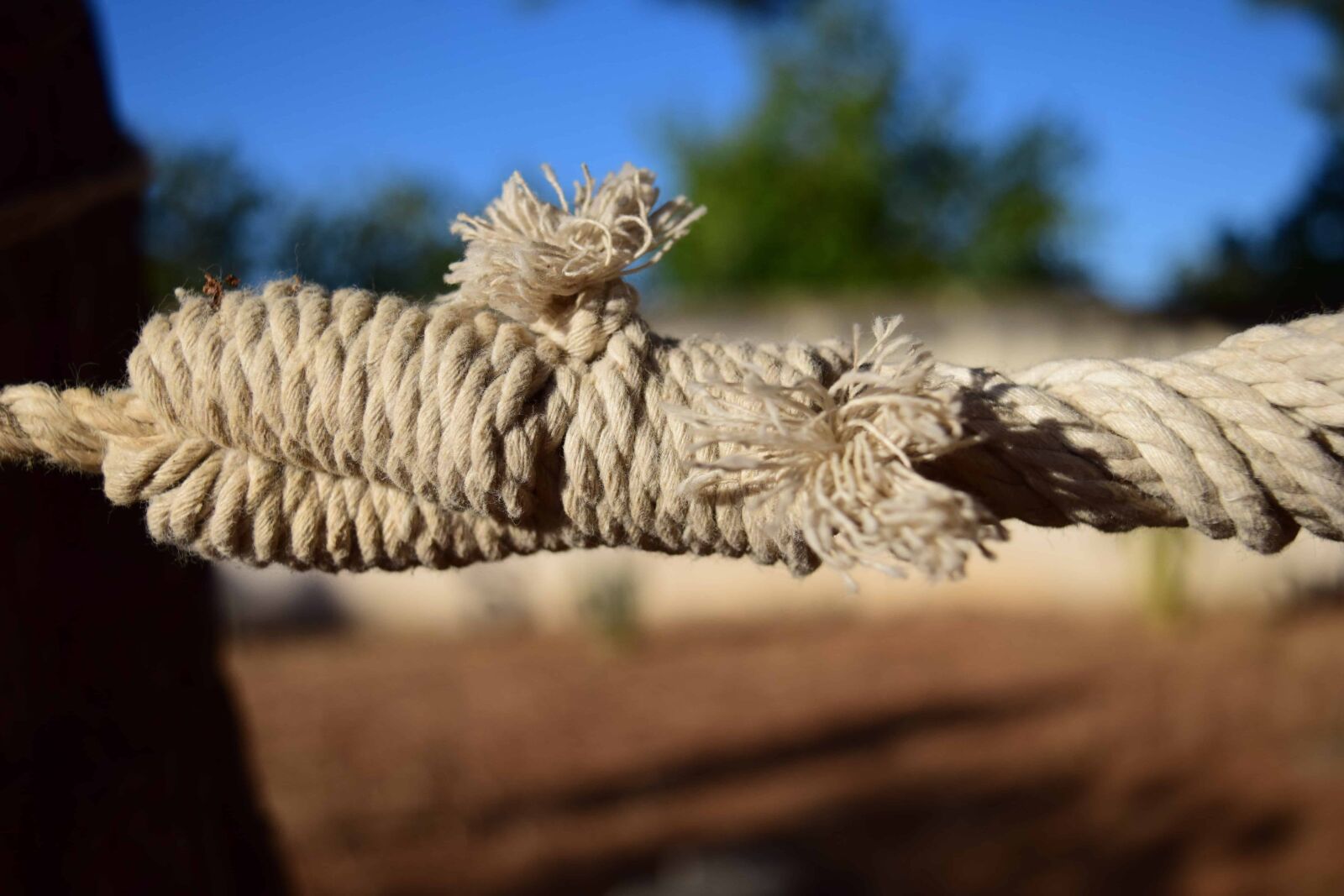 Nikon D3300 sample photo. Rope, yarn, knot, outdoor photography