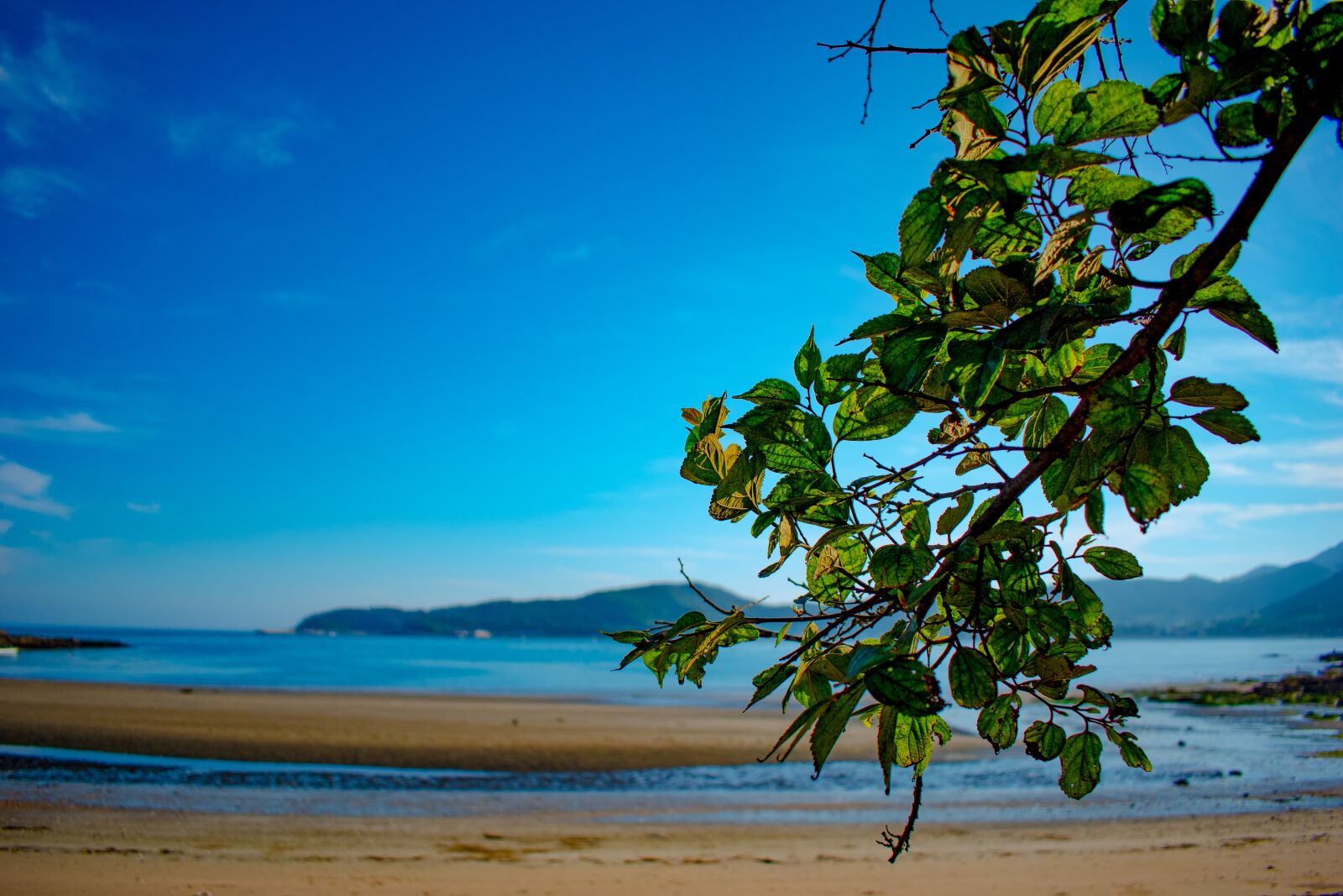 Nikon D5600 sample photo. Natural, beauty, light photography