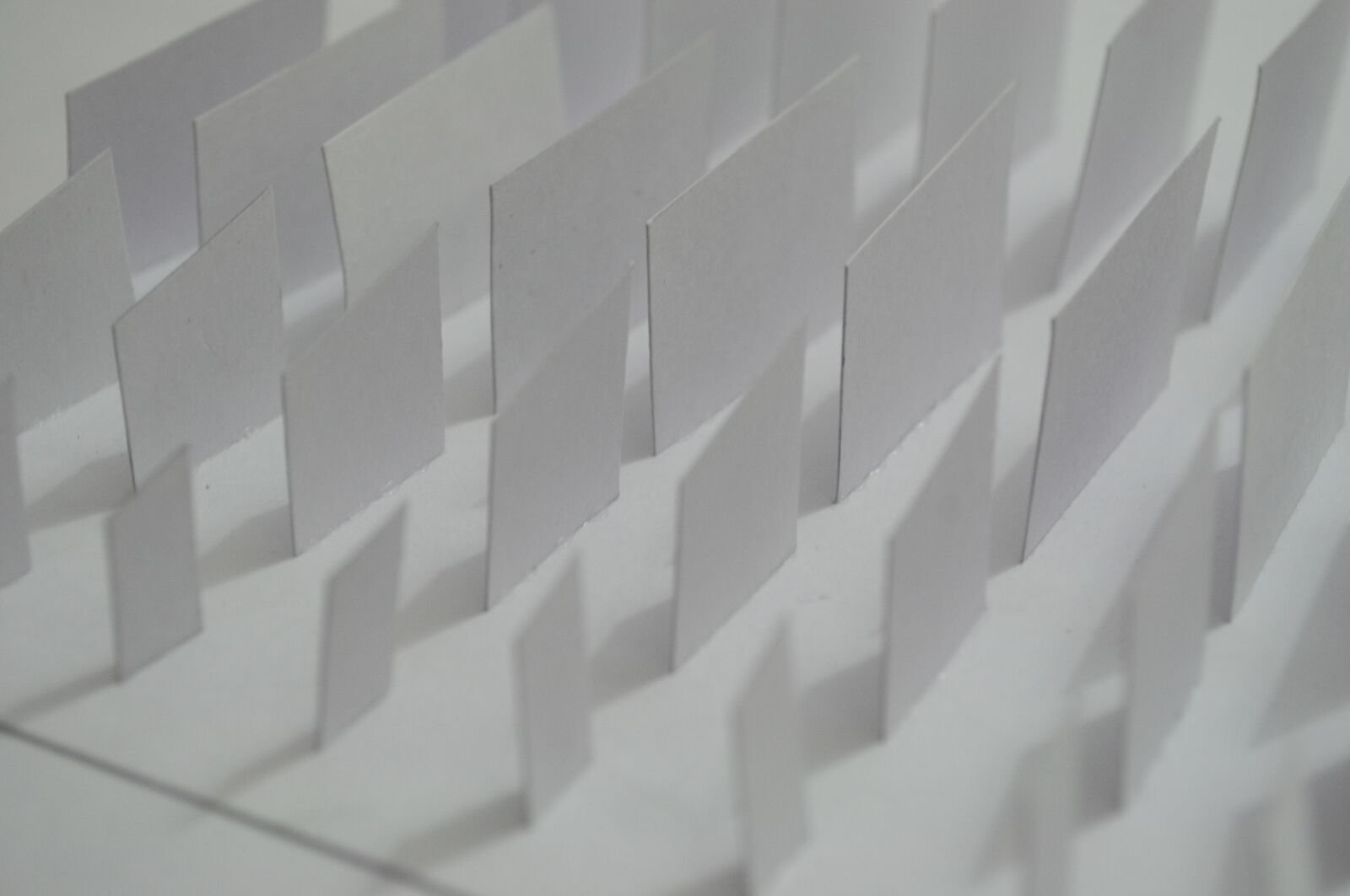 Nikon D5000 sample photo. Paper, white, monochrome photography