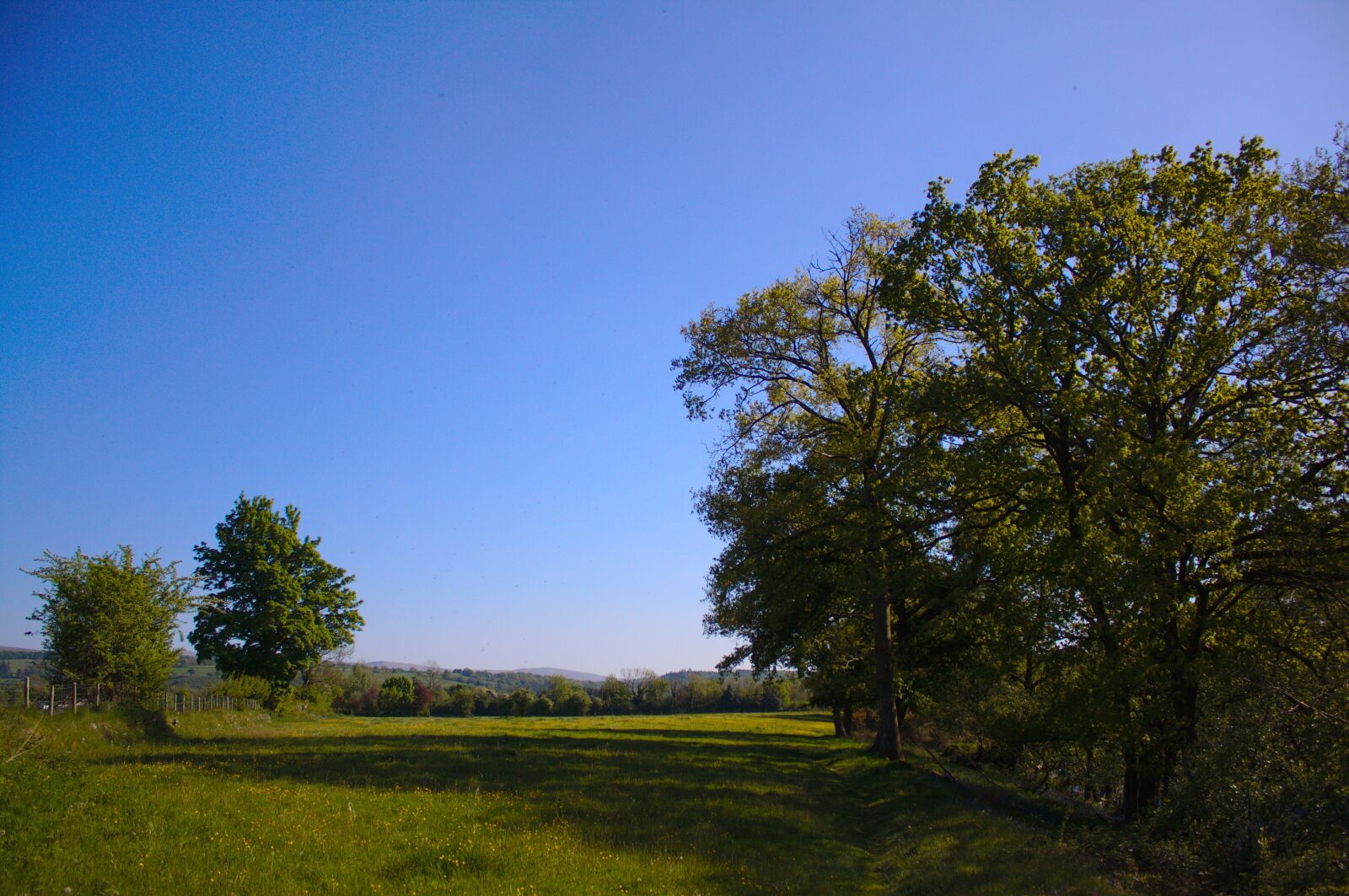 Canon EOS 50D sample photo. Landscape, field, yellow photography