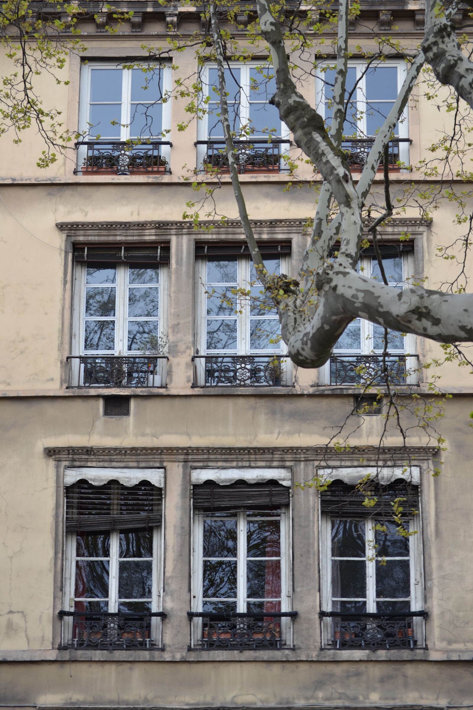 Nikon D3100 sample photo. Facade, city, lyon photography
