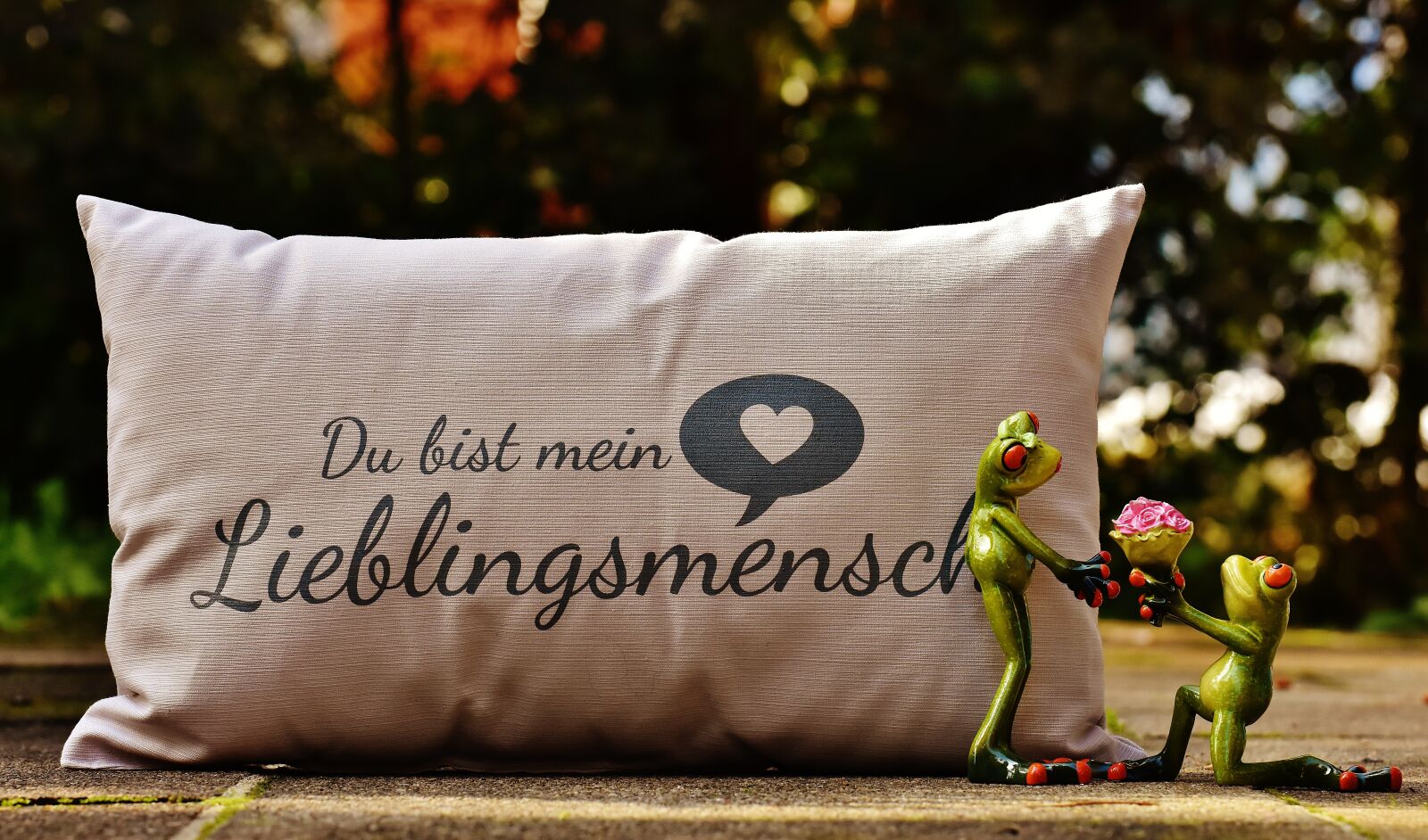 Nikon D7200 sample photo. Pillow, love, valentine's day photography