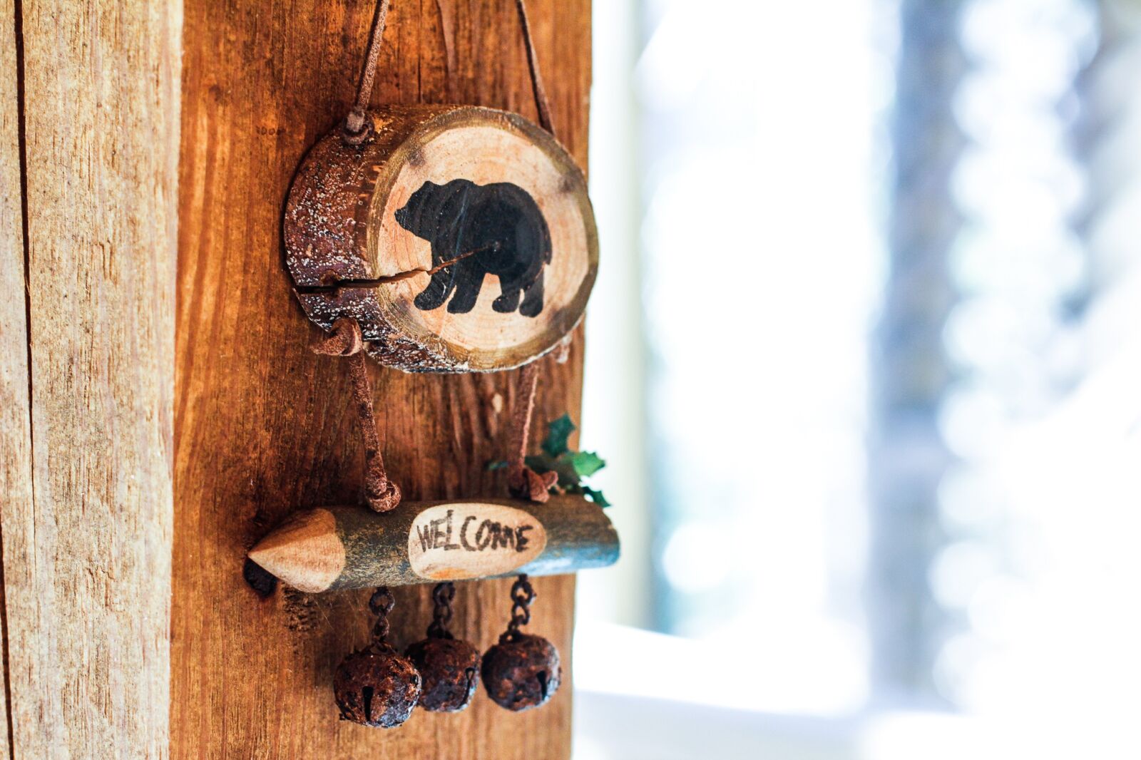 Canon EOS 60D + Canon EF 50mm F1.4 USM sample photo. Bear, wood, cabin photography