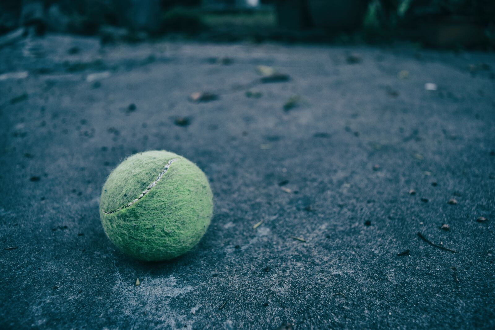 Nikon D3300 sample photo. Tennis ball, tennis, soil photography