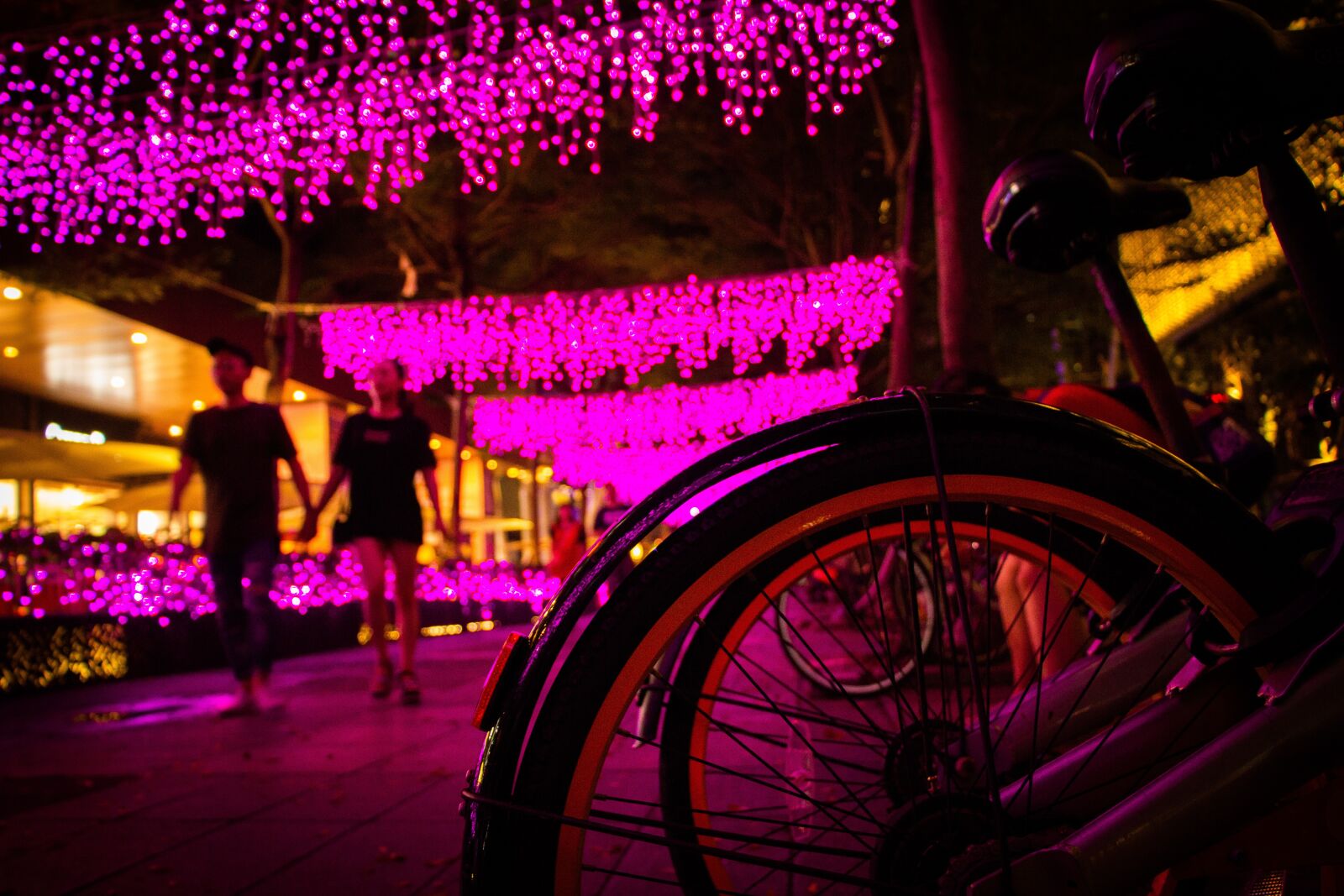 Canon EOS 60D + Canon EF-S 18-135mm F3.5-5.6 IS STM sample photo. Bicycle, city, taipei photography