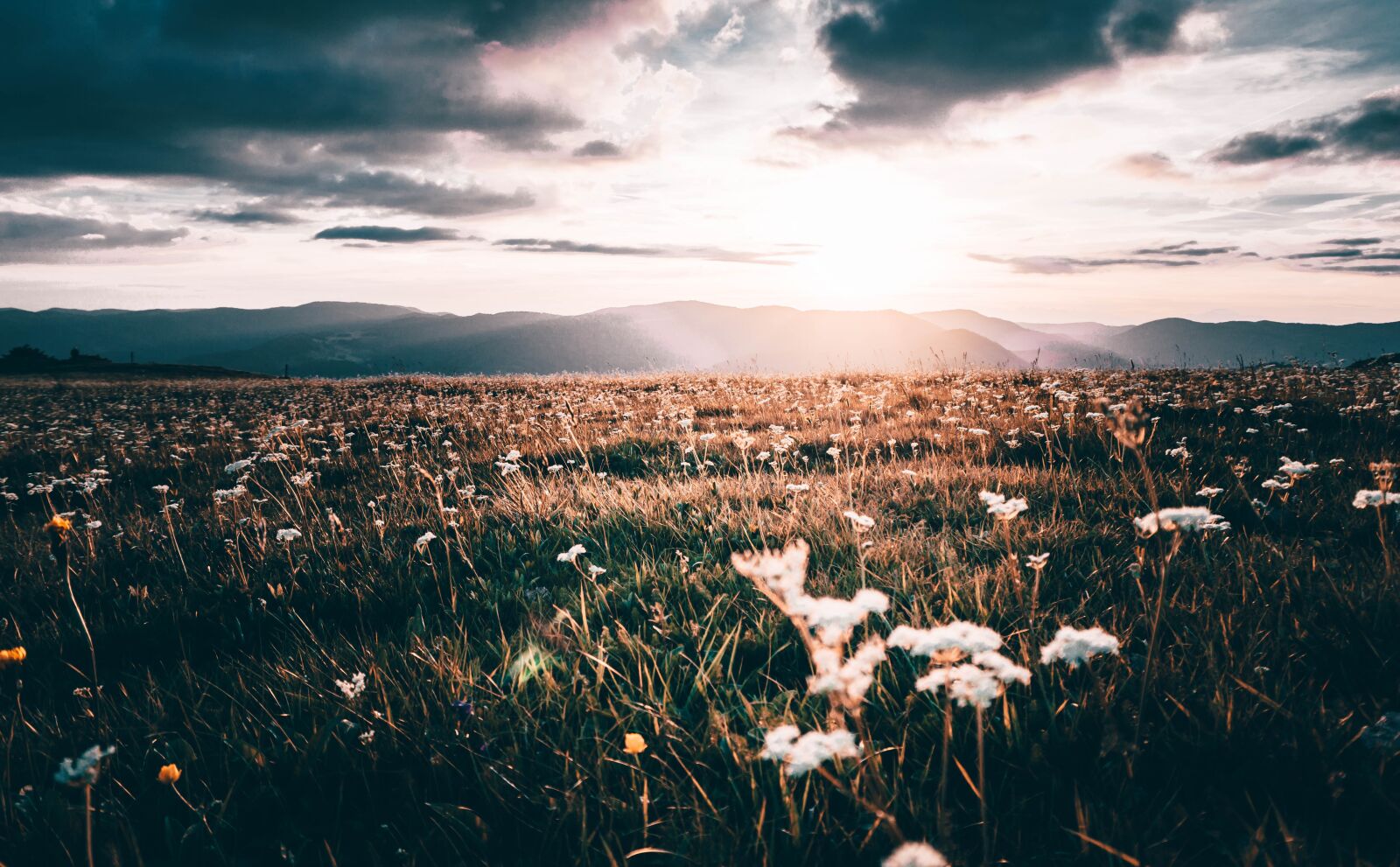 Sony a6000 sample photo. Vosges, sunset, hiking photography