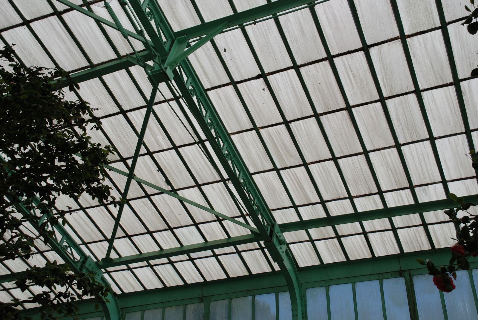 Nikon D80 sample photo. Botanical gardens, brussels, belgium photography