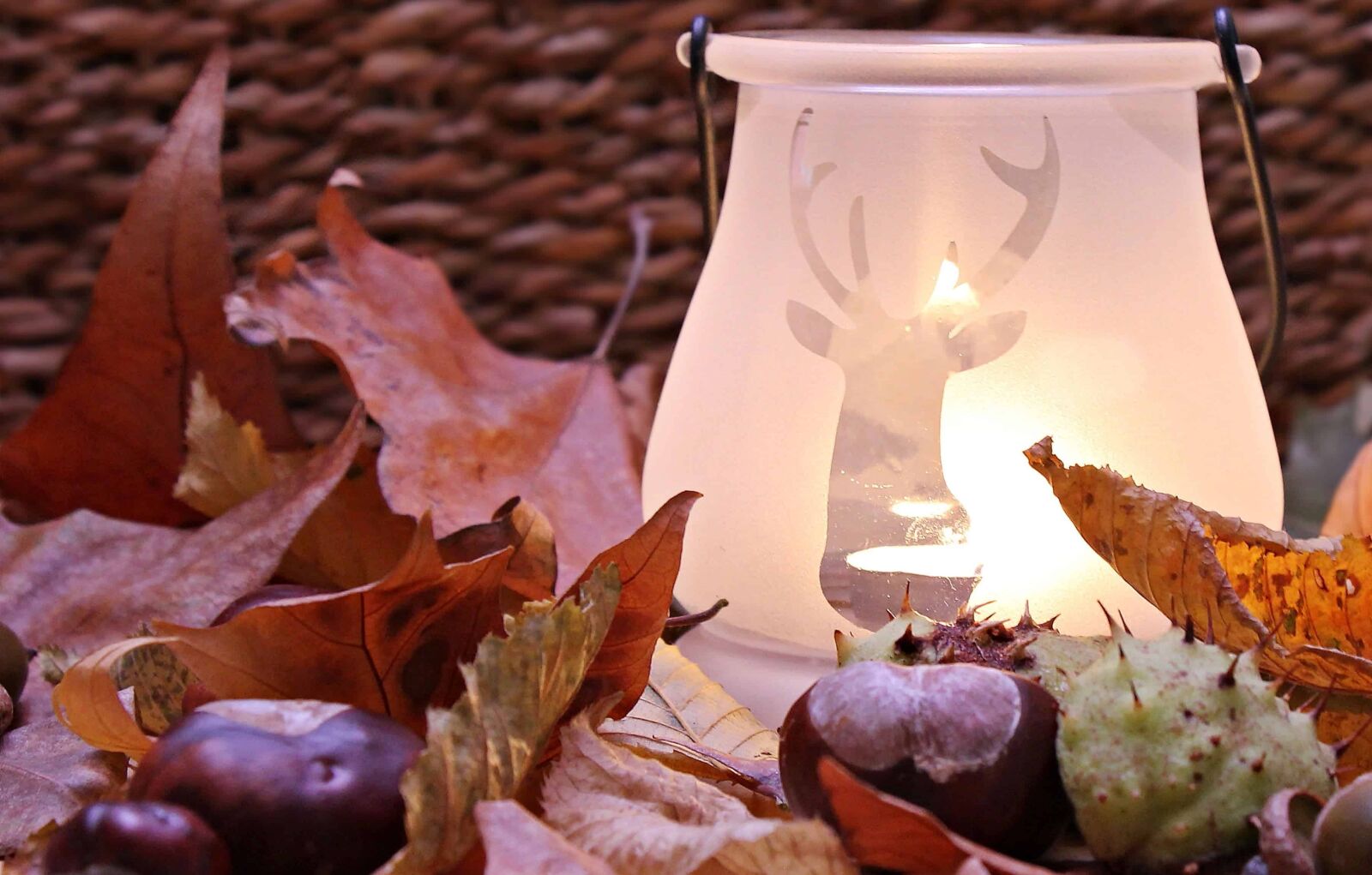 Canon EOS 550D (EOS Rebel T2i / EOS Kiss X4) sample photo. Candlelight, still life, lamp photography